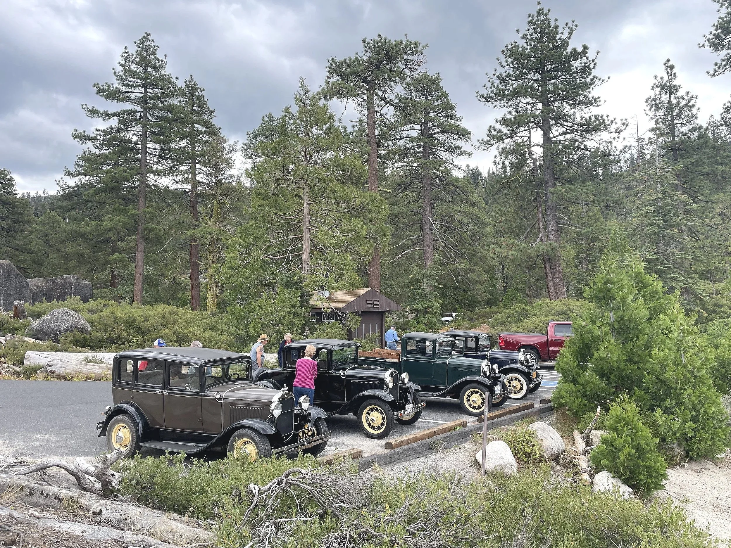 Several vintage cars parked in a lot surrounded by tall pine trees and rocks, with a few people standing around and conversing.