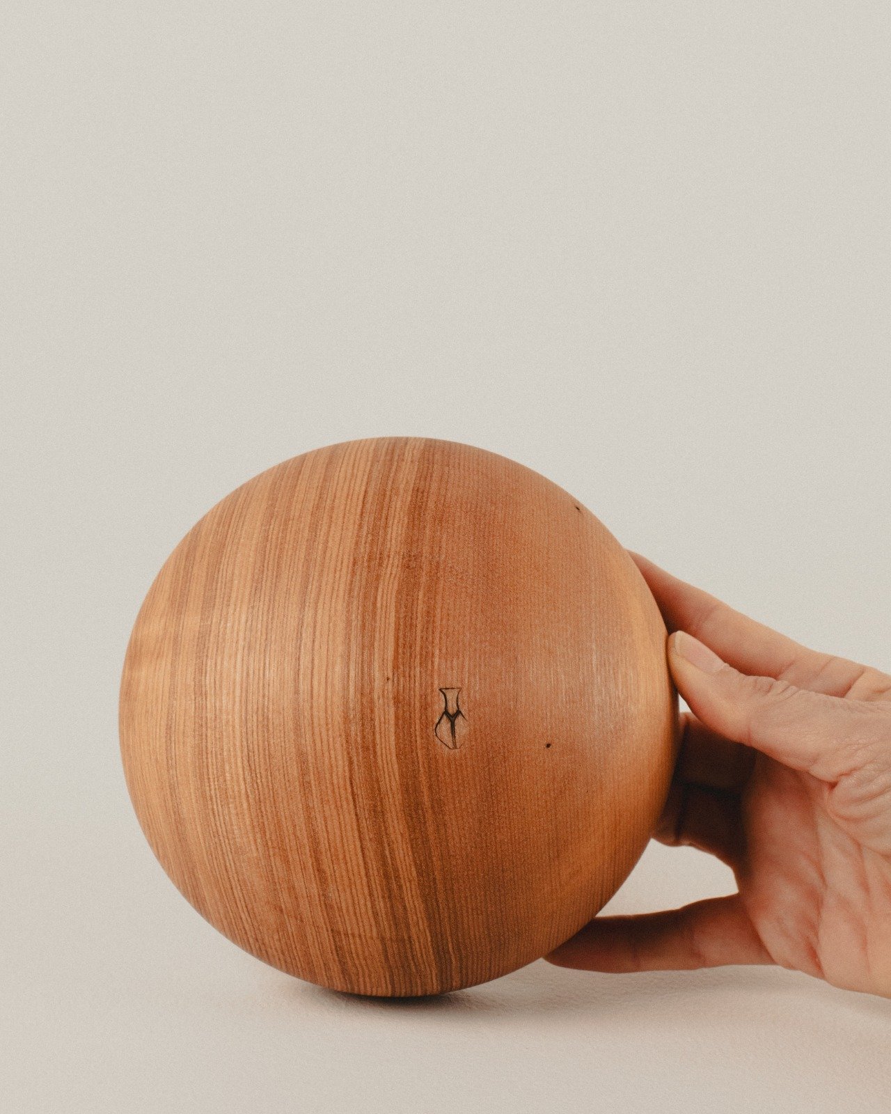 WhatsApp Image 2026-01-09 at 4.01.10 PM.jpeg