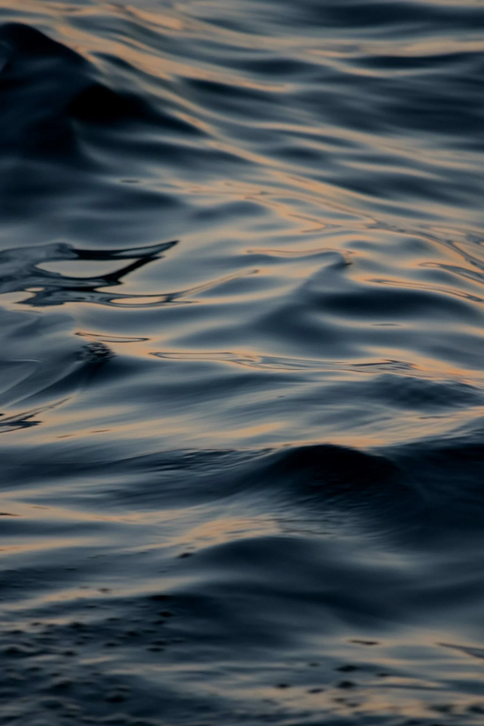 unsplash-image-0gZ1JLxqdus.jpg