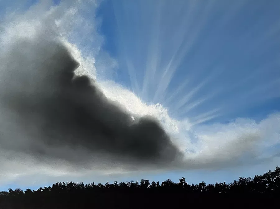 Original painting, "Light in the Dark", Oil on canvas, 61 x 46cm