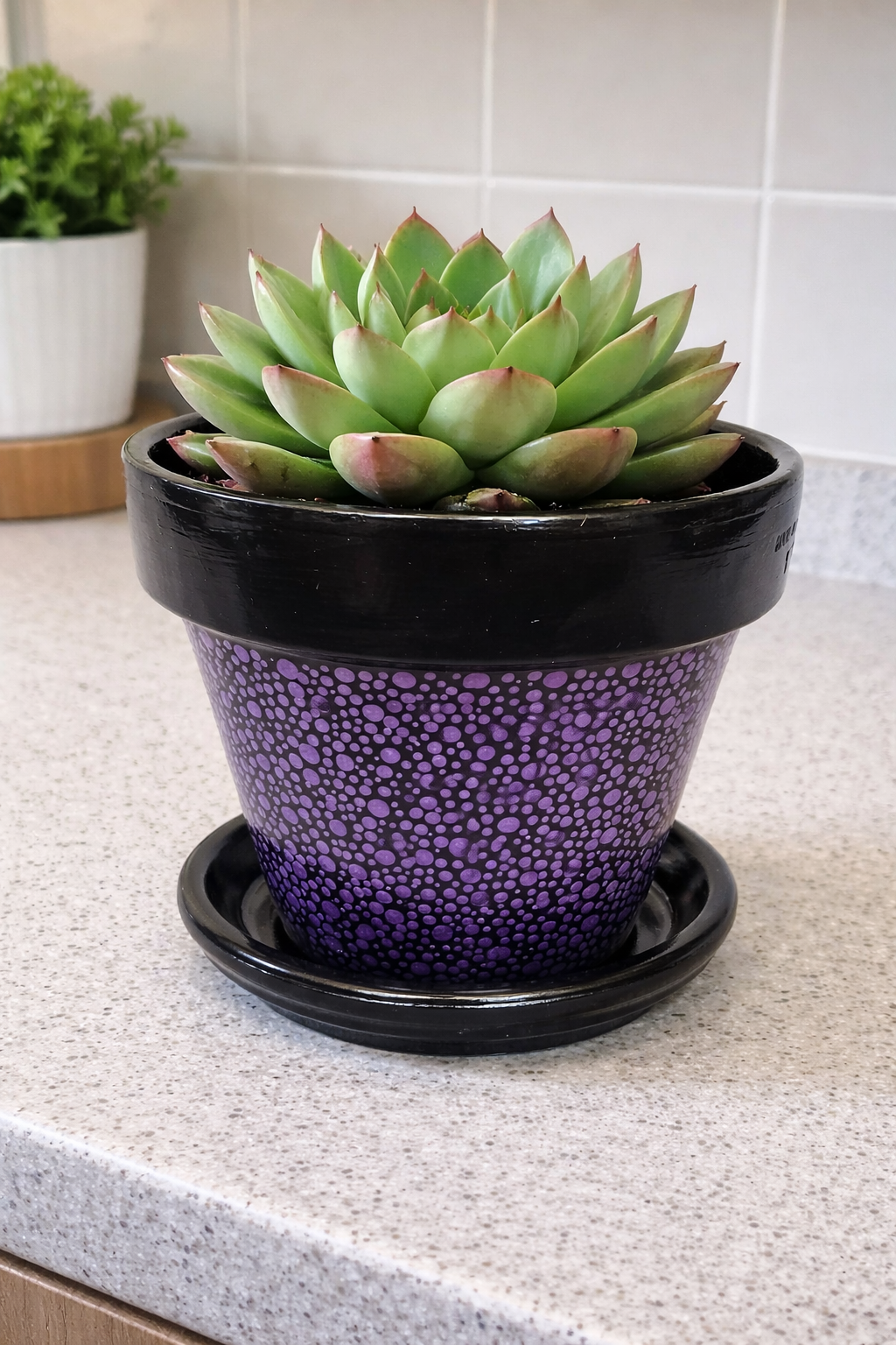Metallic Purple Terracotta Polka Dot Pot - 17cm