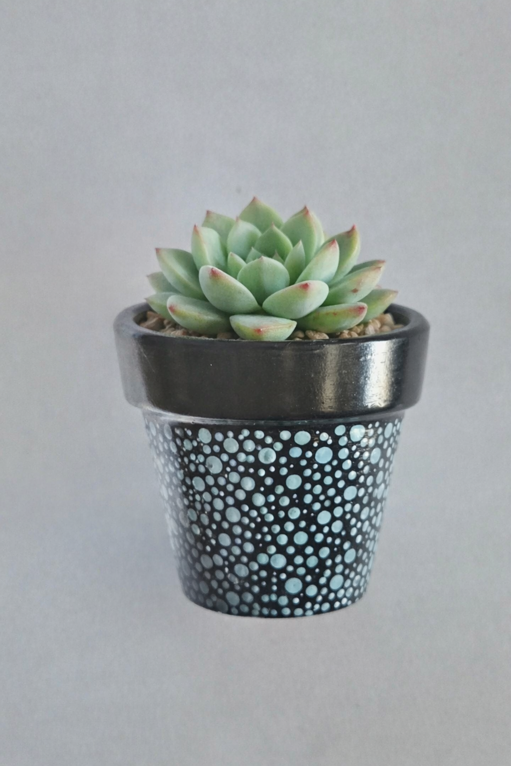 Mini Terracotta Pot - Light Blue