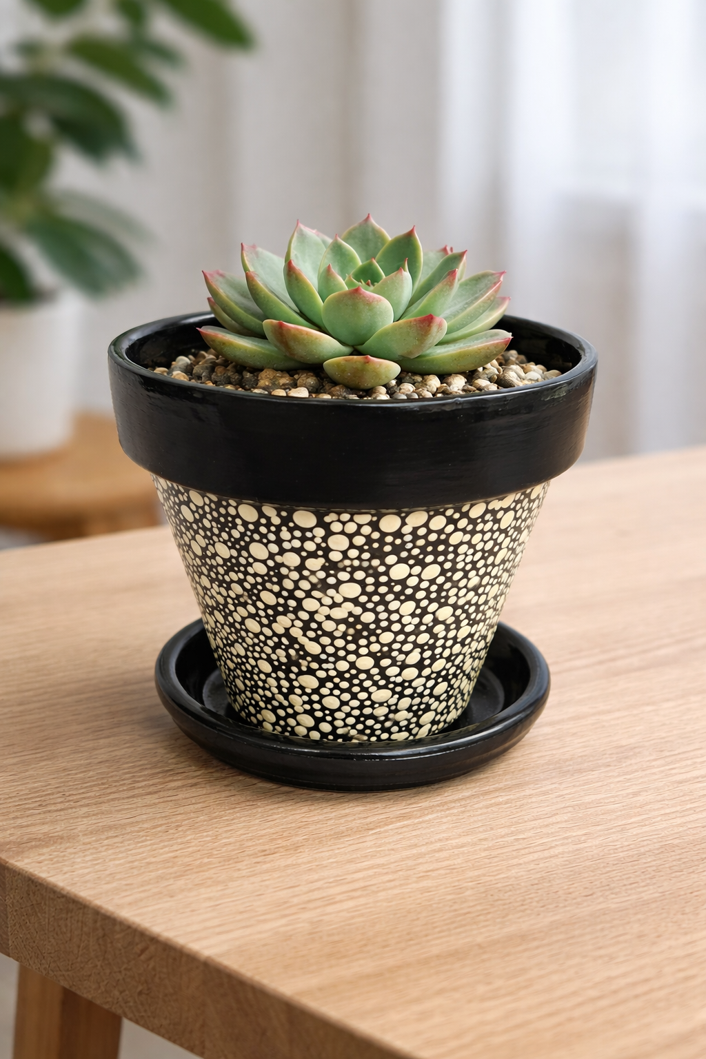 White Terracotta Polka Dot Pot - 17cm