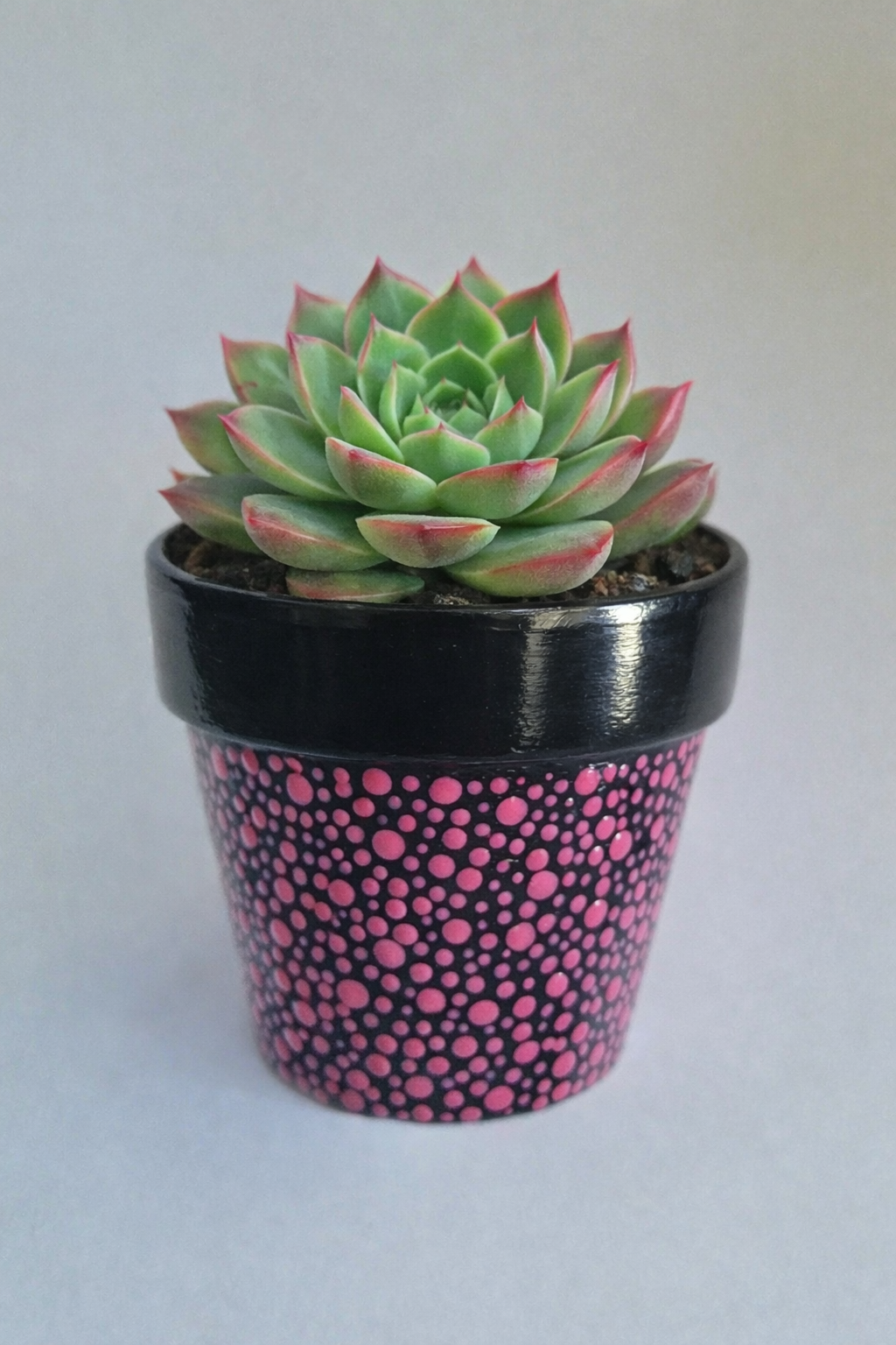 Mini Terracotta Pot - Pink