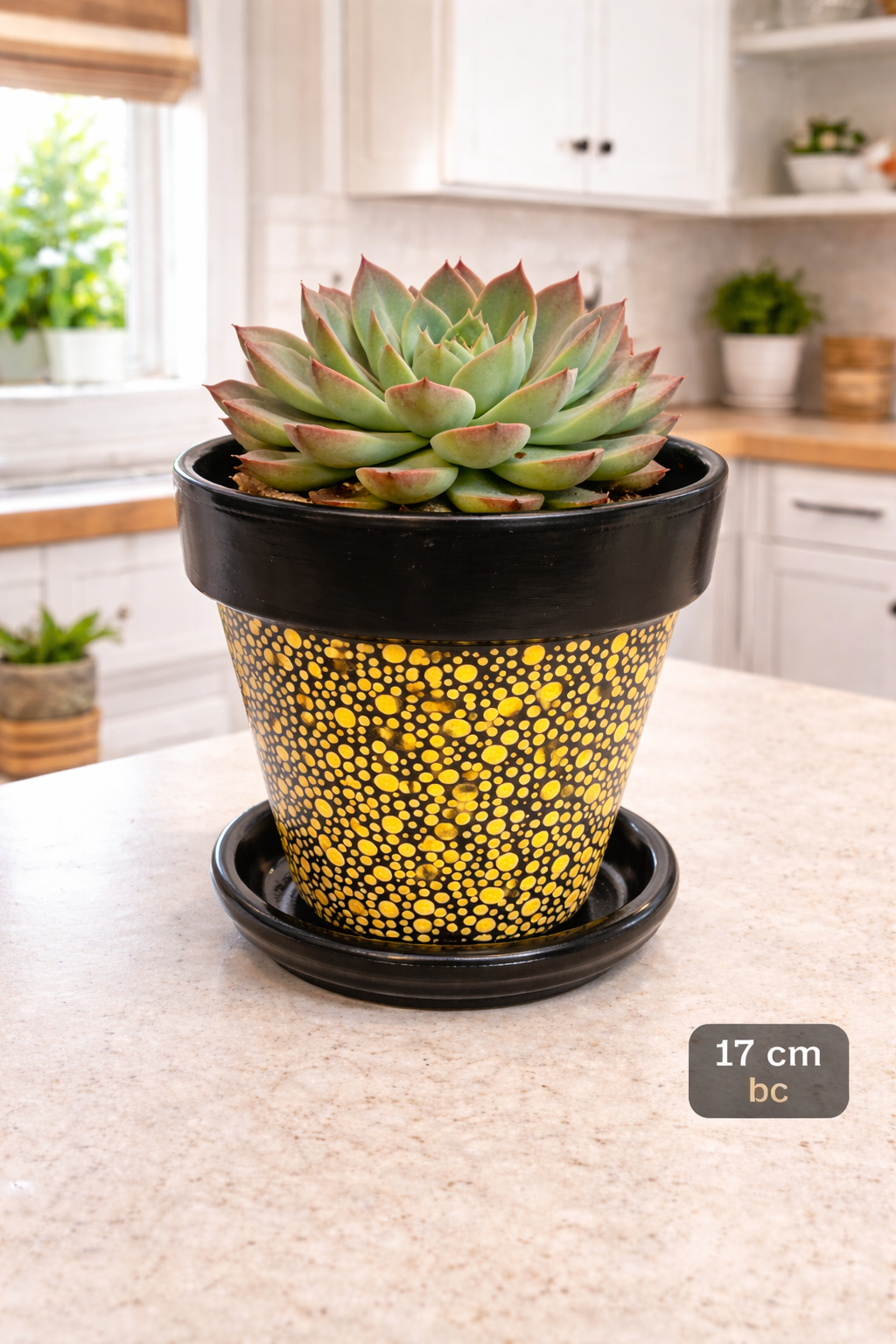 Yellow Terracotta Polka Dot Pot - 17cm