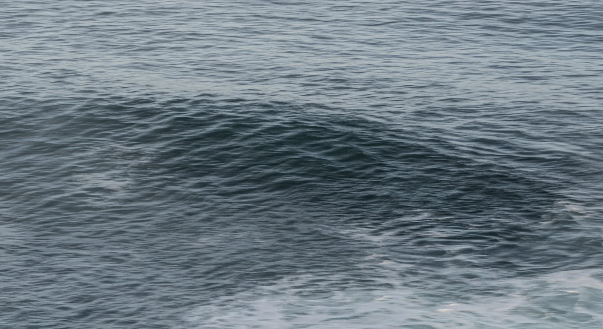 Ocean's Whisper