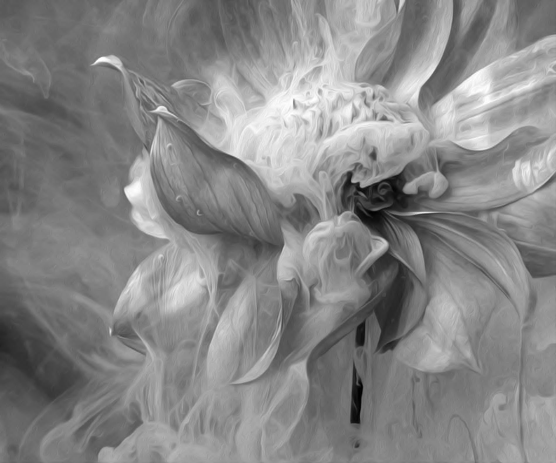 Veil