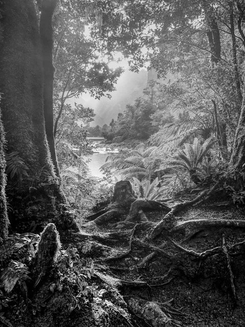 Postcard View, Milford Track
