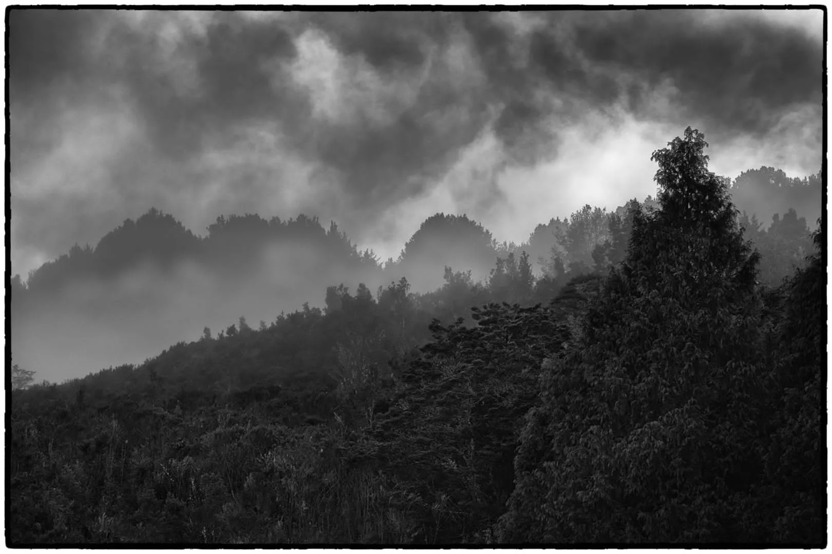 Mist in the Valley