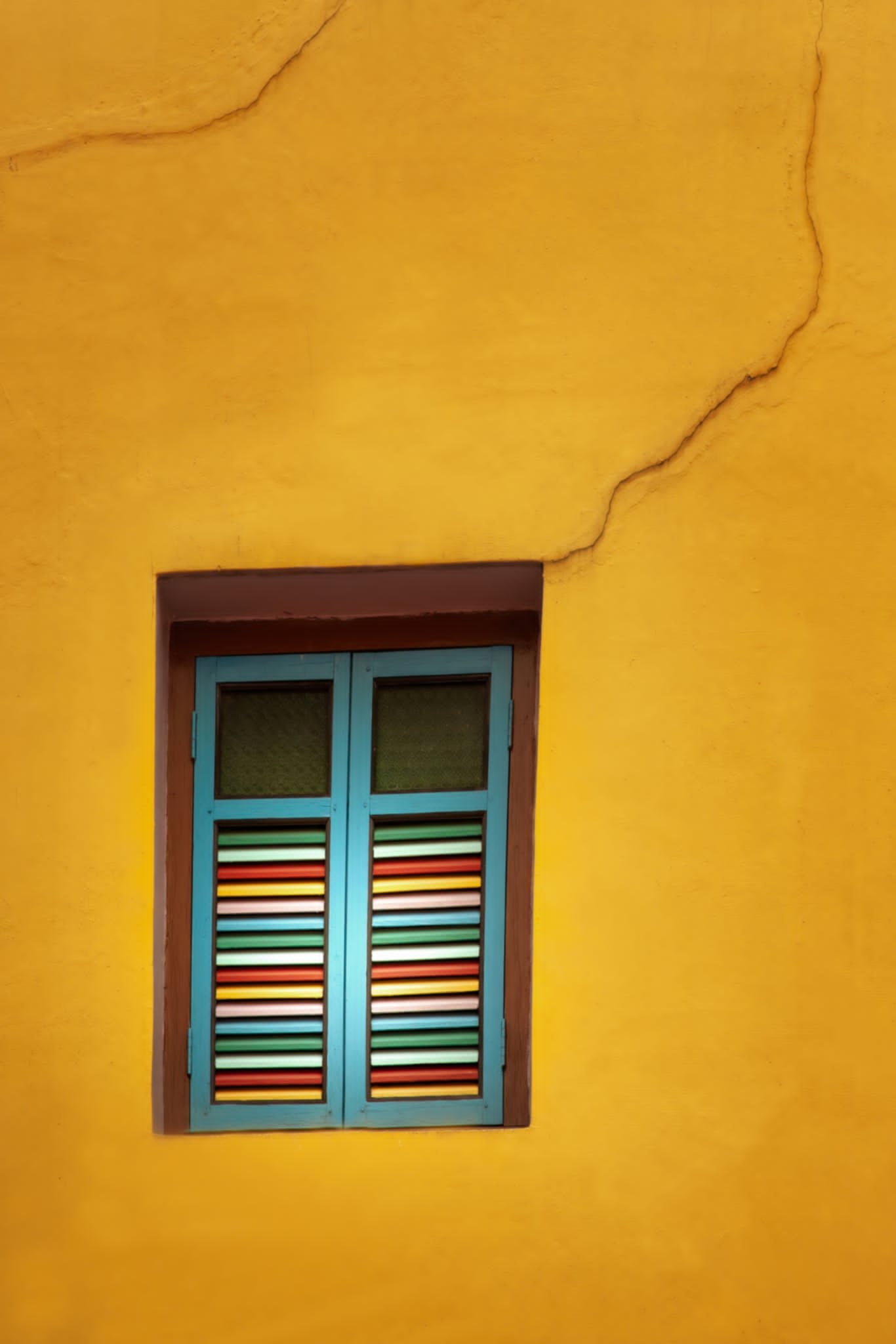 The Window