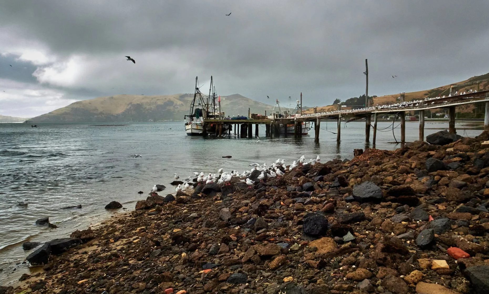 Otakou Jetty