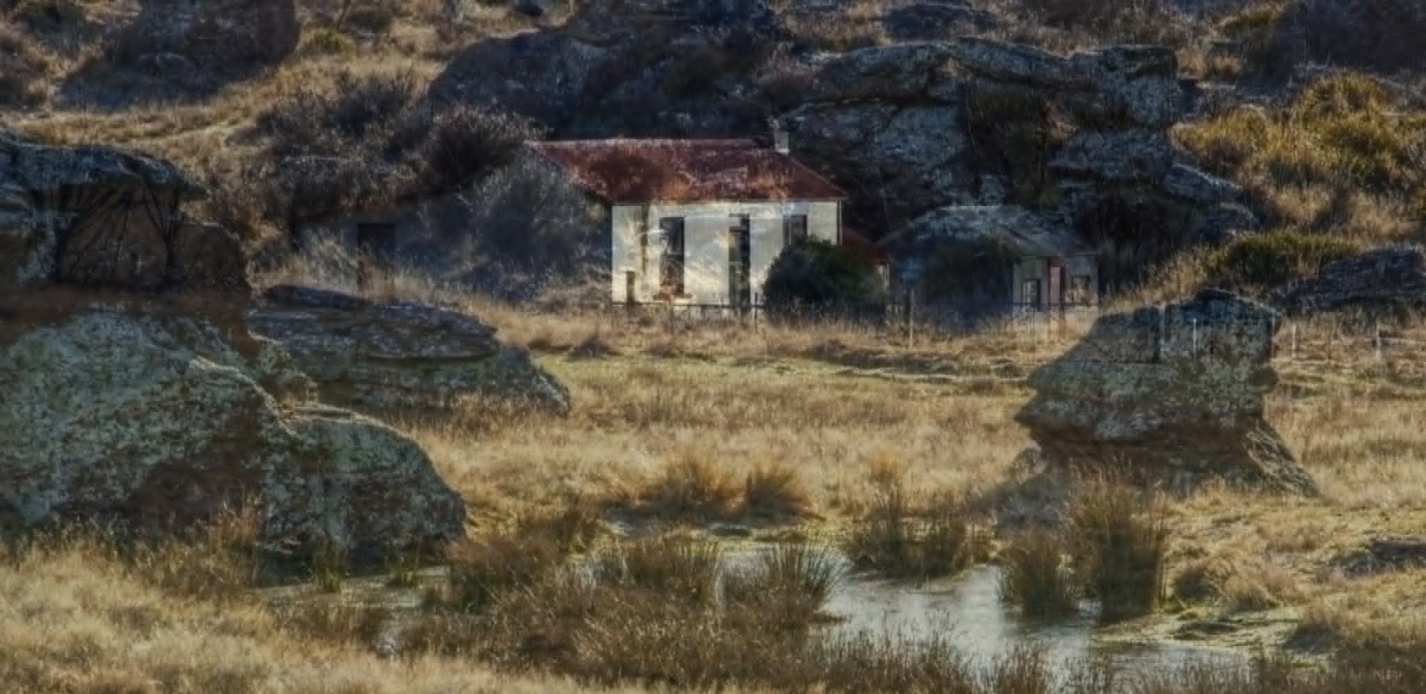 The Hut
