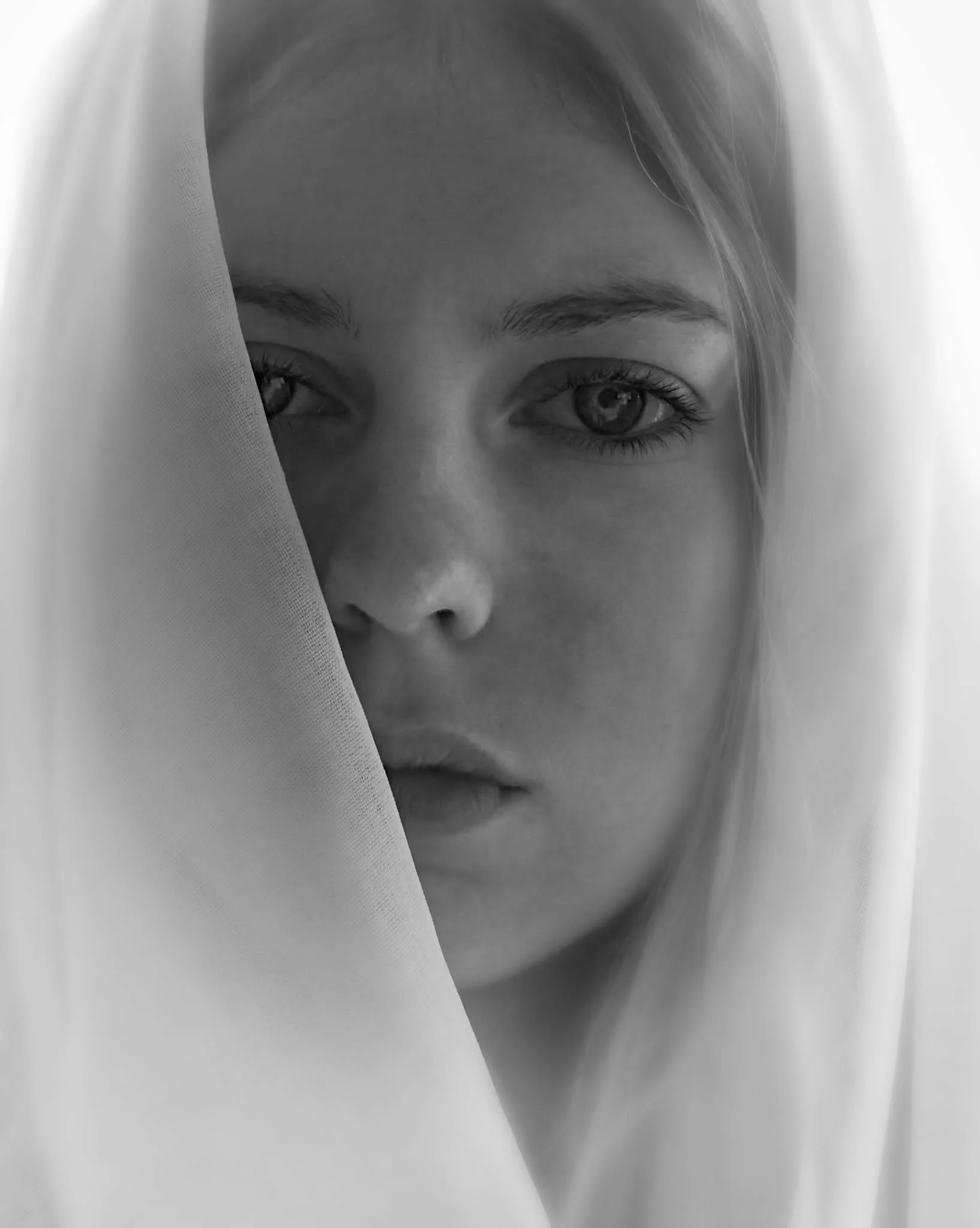 Through the Silence