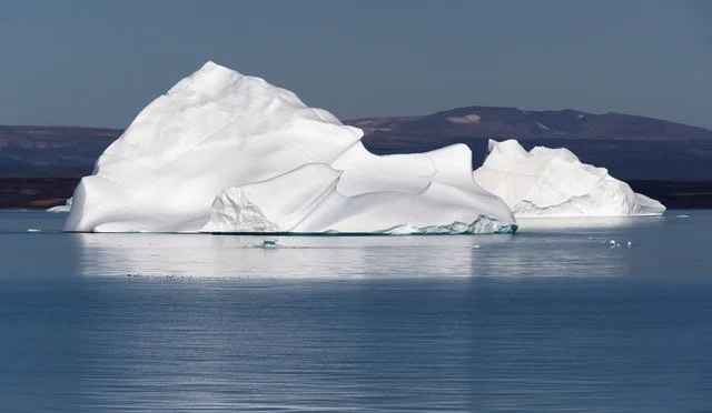 Little Auks and Iceberg