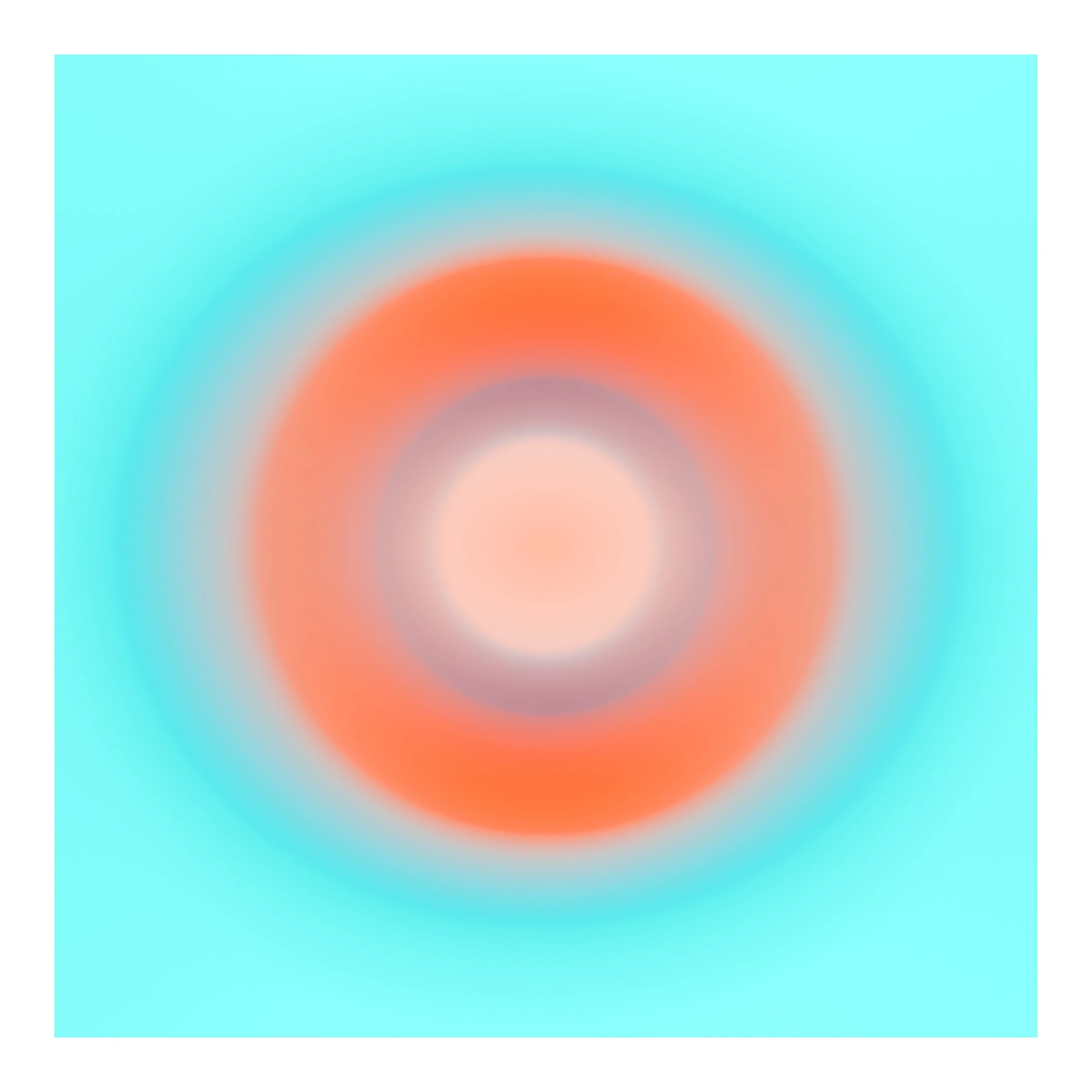 SQUARE EC f frame.jpg