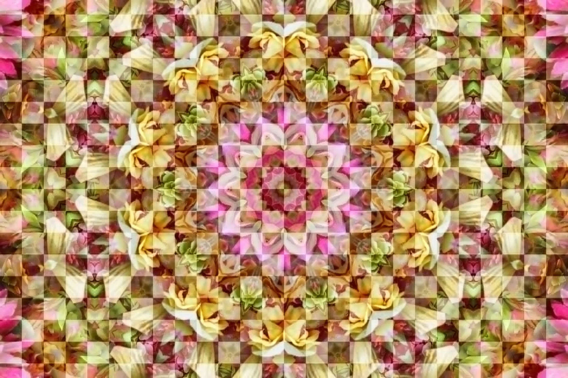 Chequered Blooms