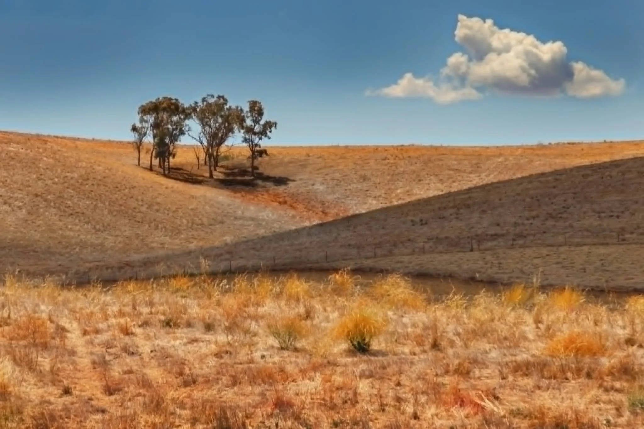 Gumtree Valley