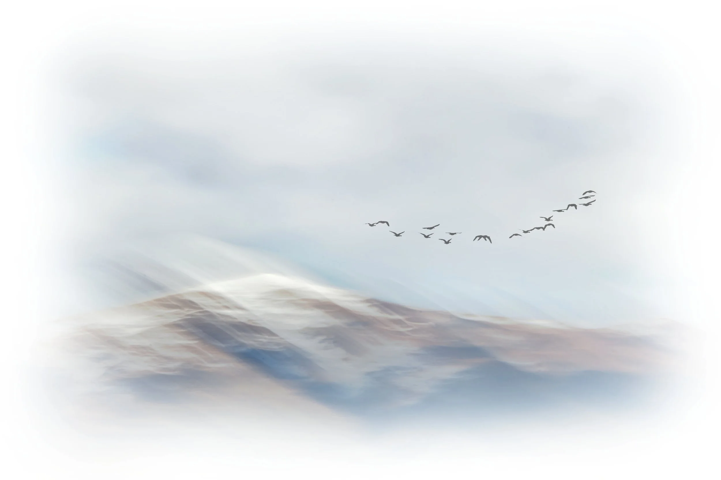 Whispers of Winter