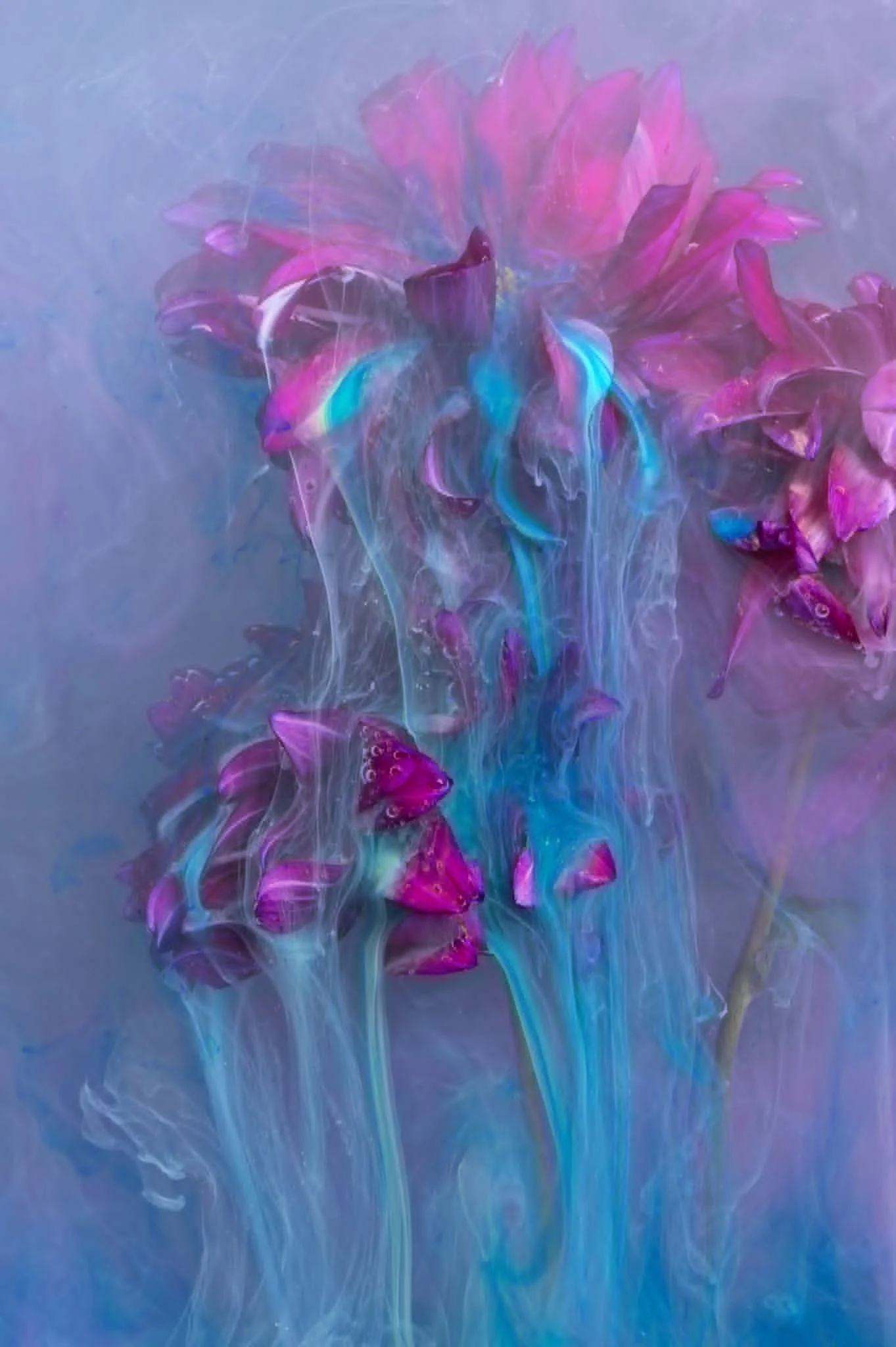 Ethereal Bloom