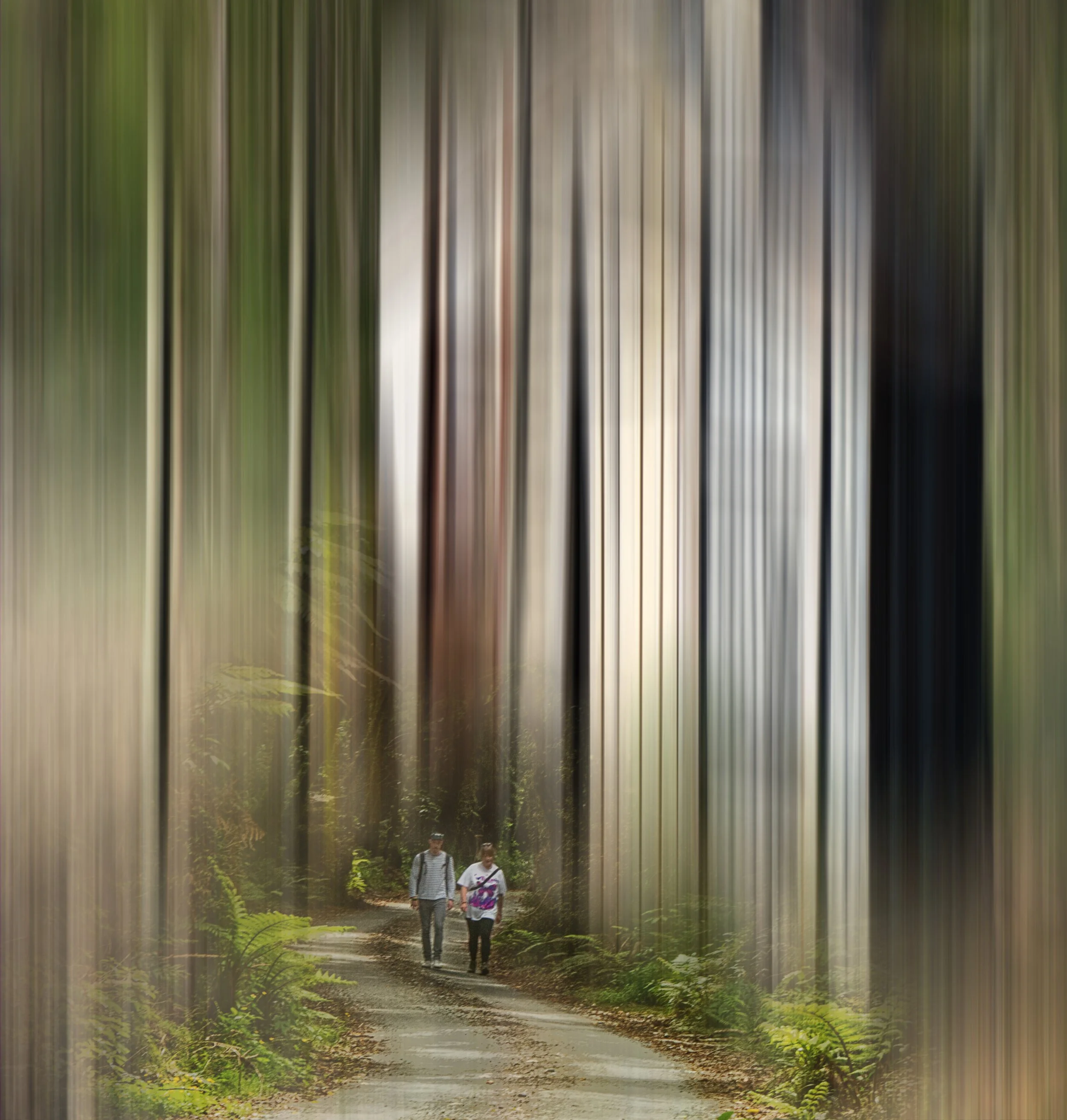 Glade