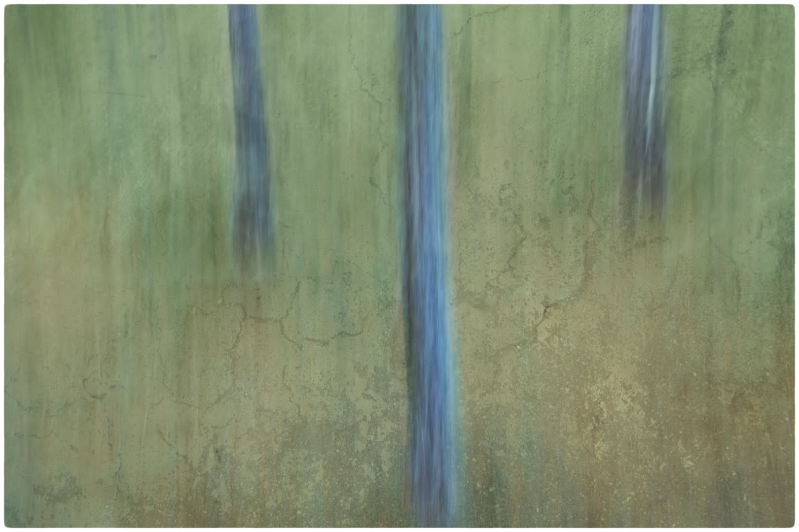 Earthed Cracked Trees
