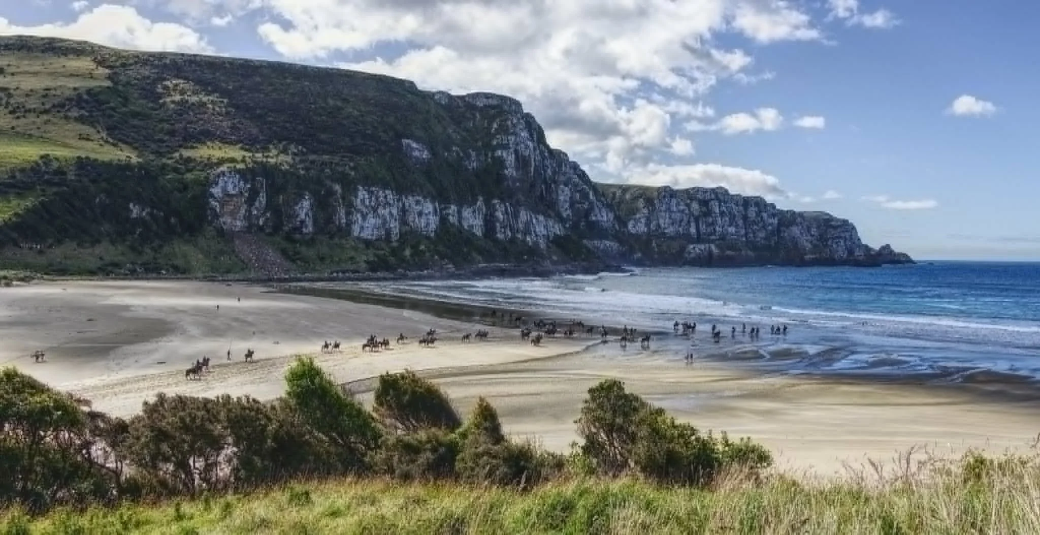 Purakaunui Bay