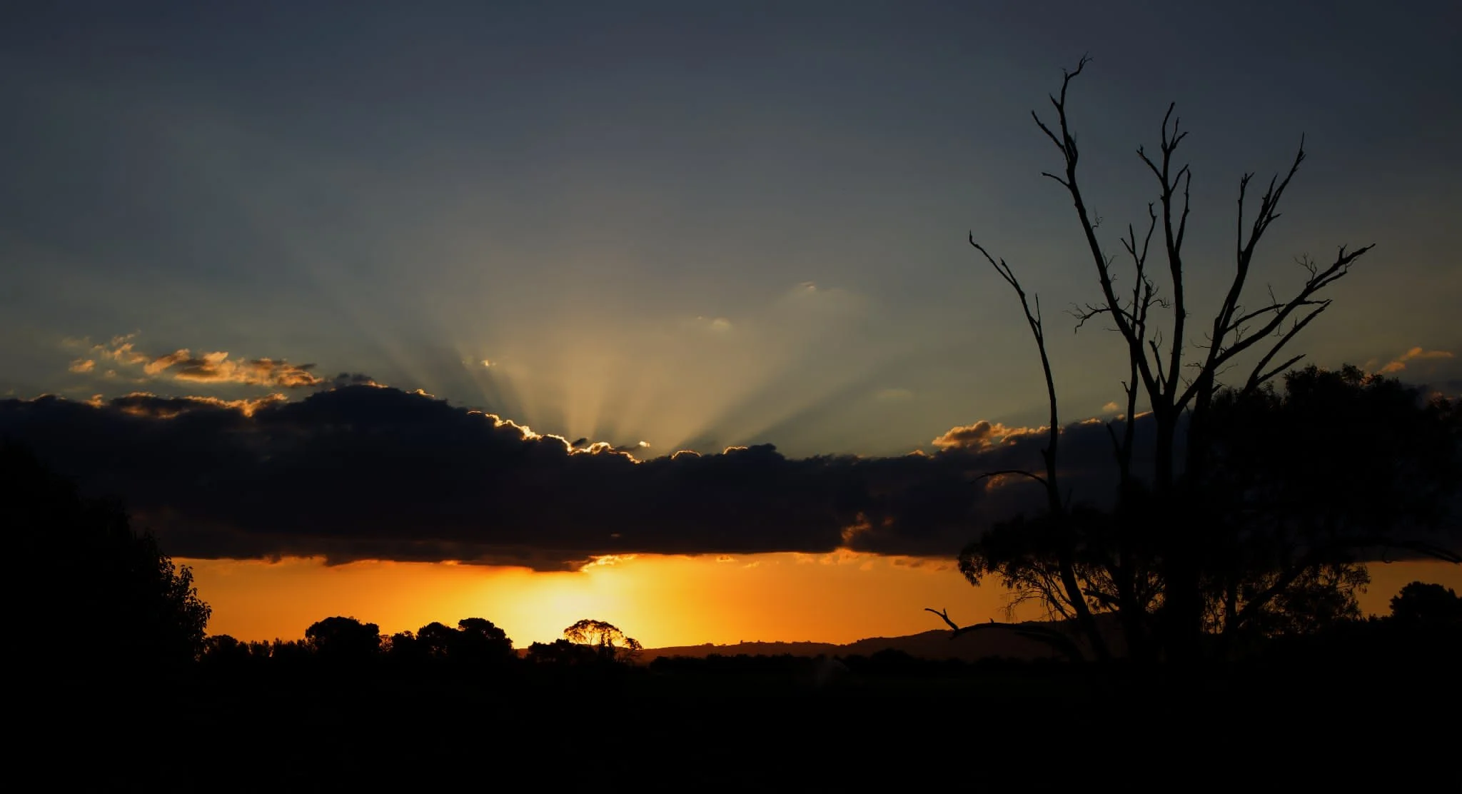 Setting Sun