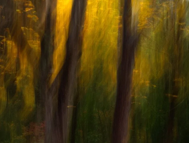 Backlight
