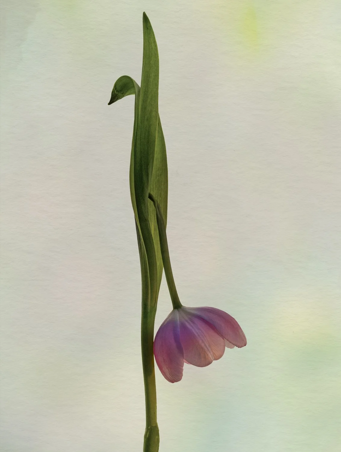 Bending