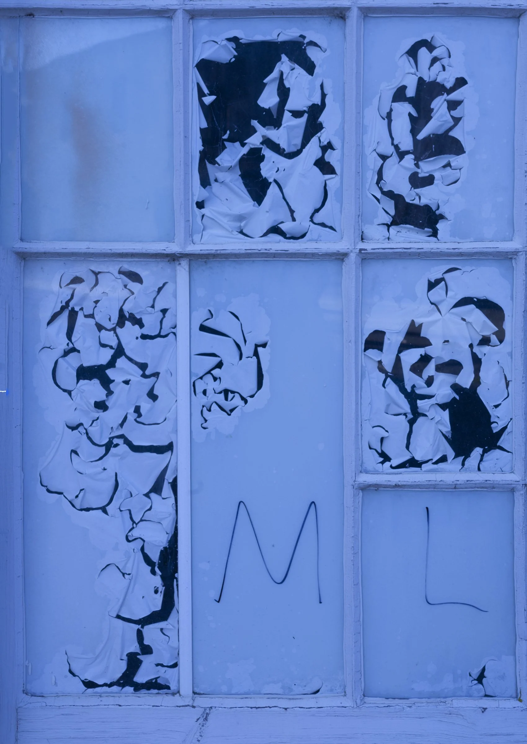 Window