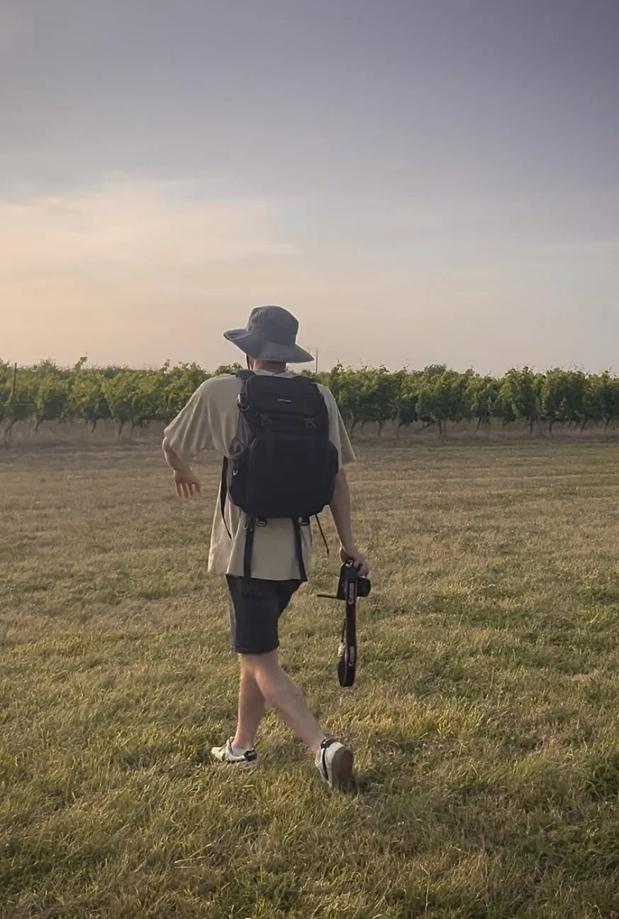 Une personne vue de dos portant un chapeau, un sac à dos et tenant un appareil photo, marchant dans un champ avec une rangée de vignes à l'horizon, au coucher du soleil.