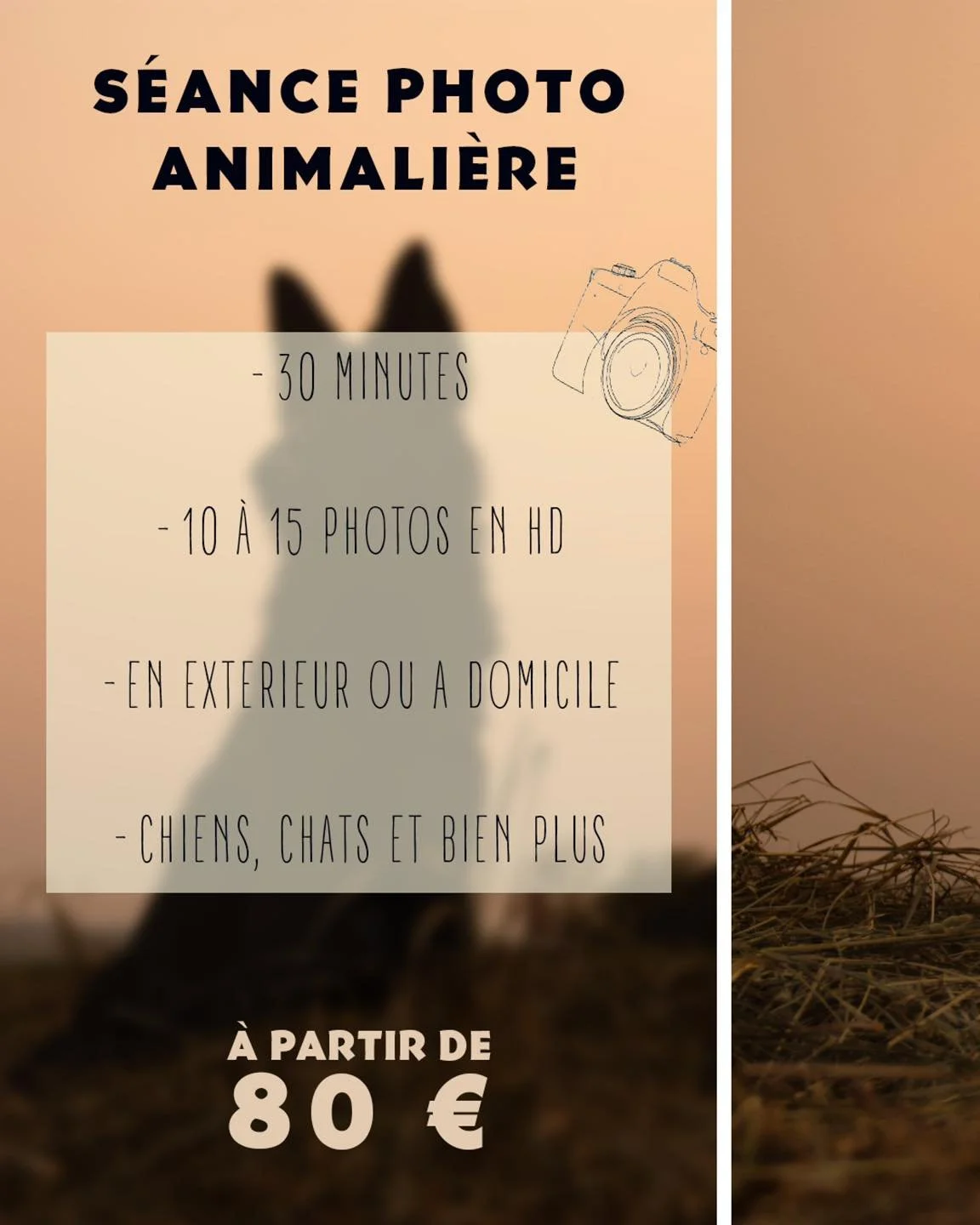 Mes s&eacute;ances photo sont authentiques : ce sont des moments de partage et de rencontre 🤍🐾

Comment &ccedil;a se d&eacute;roule ?

1️⃣ &ndash; La prise de rendez-vous
Nous prenons rendez-vous au lieu de votre choix, l&agrave; o&ugrave; vous et 