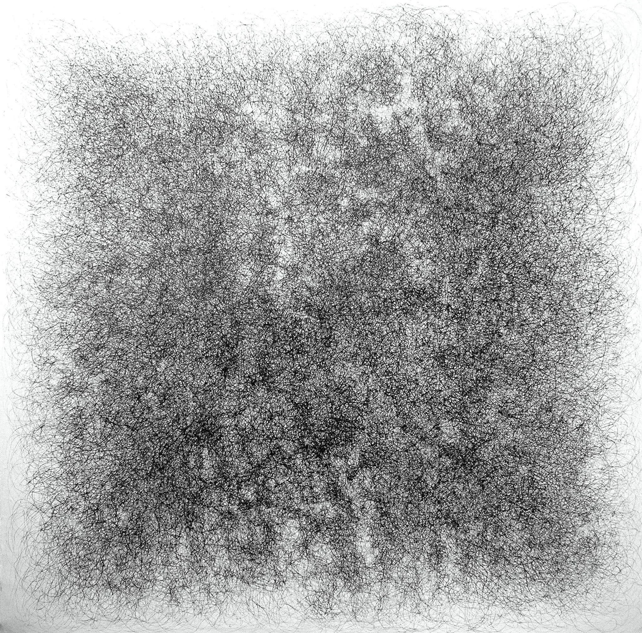 Close-up of a black stubble beard with dense, intricate hair follicles.