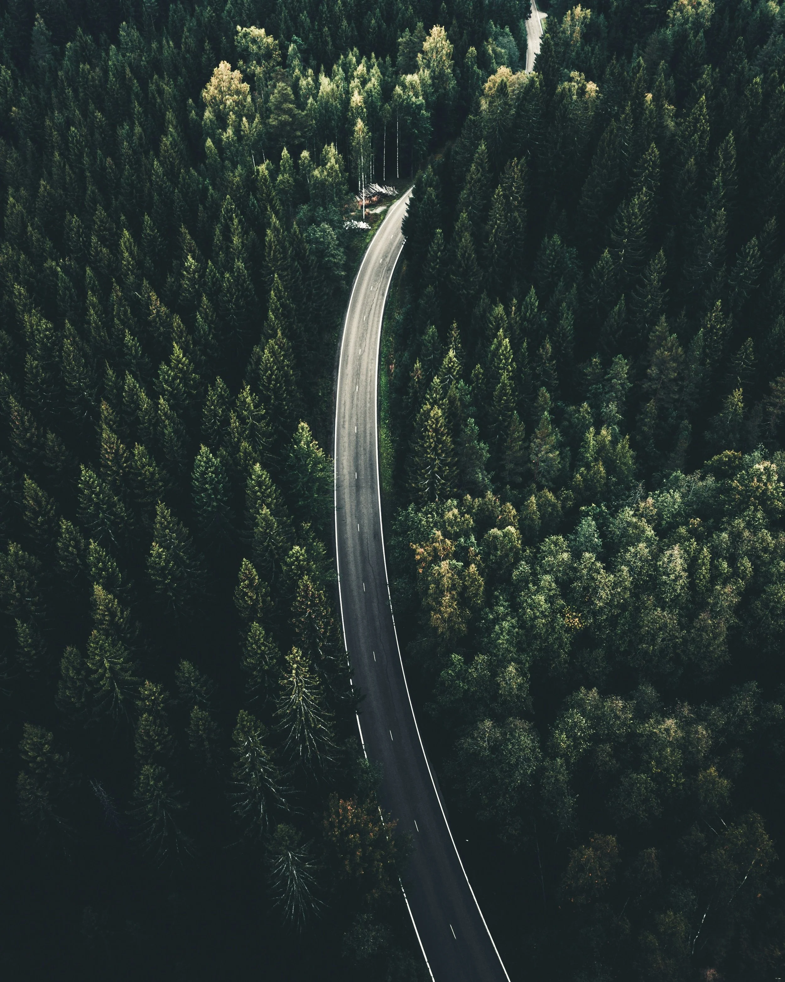 Achieving the desired outcomes largely depends on how the process itself is managed.