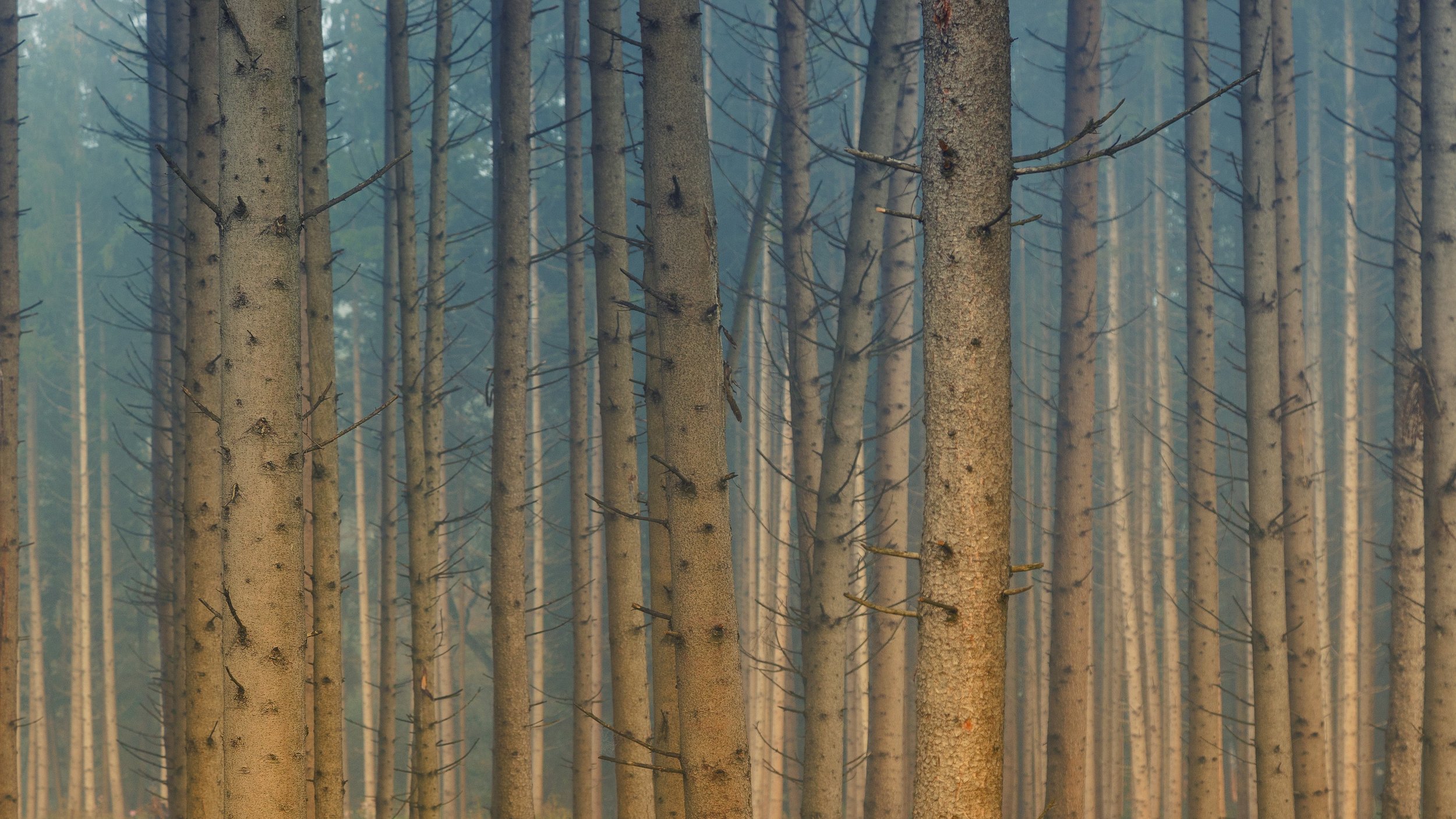 Strategic clarity comes from understanding the whole, not just its details.