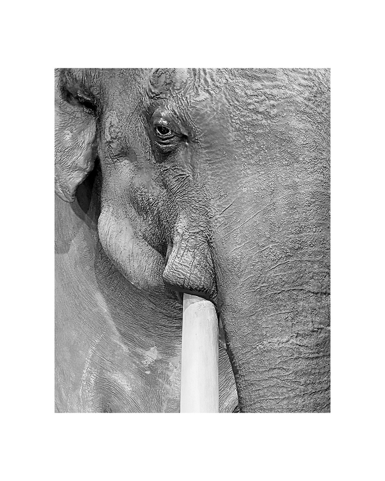 L&rsquo;ami Fritz&hellip; 👀