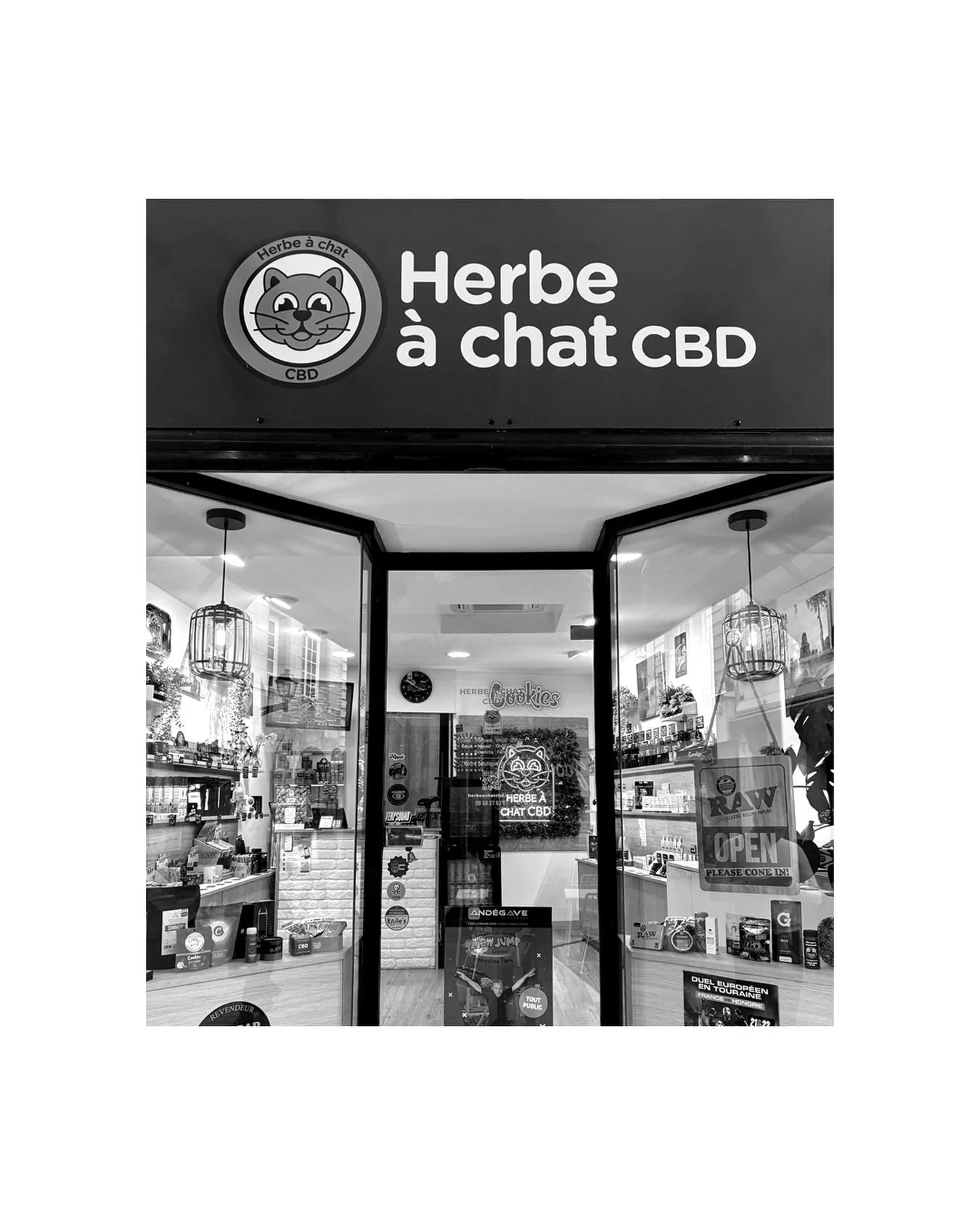 Vos commandes peuvent &ecirc;tre r&eacute;cup&eacute;r&eacute;es gratuitement chez notre point relais partenaire. 😻

Herbe &agrave; Chat CBD
12 rue du Change, 37000, Tours, FR

Her