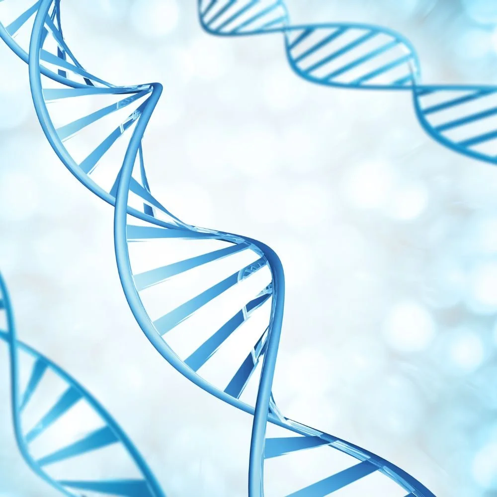 Illustration einer DNA-Doppelhelix in blauer Farbe vor einem hellblauen, verschwommenen Hintergrund.