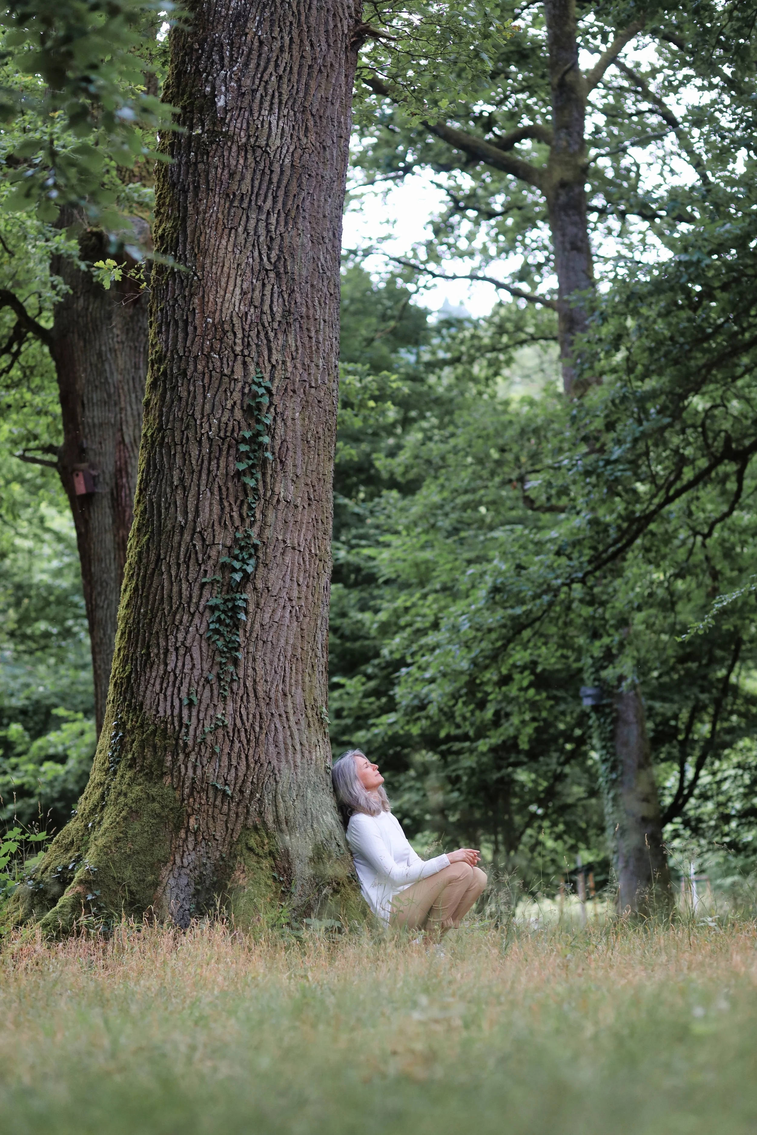 Eine ältere Frau sitzt entspannt an einem Baum in einem grünen Wald, während sie nach oben schaut.