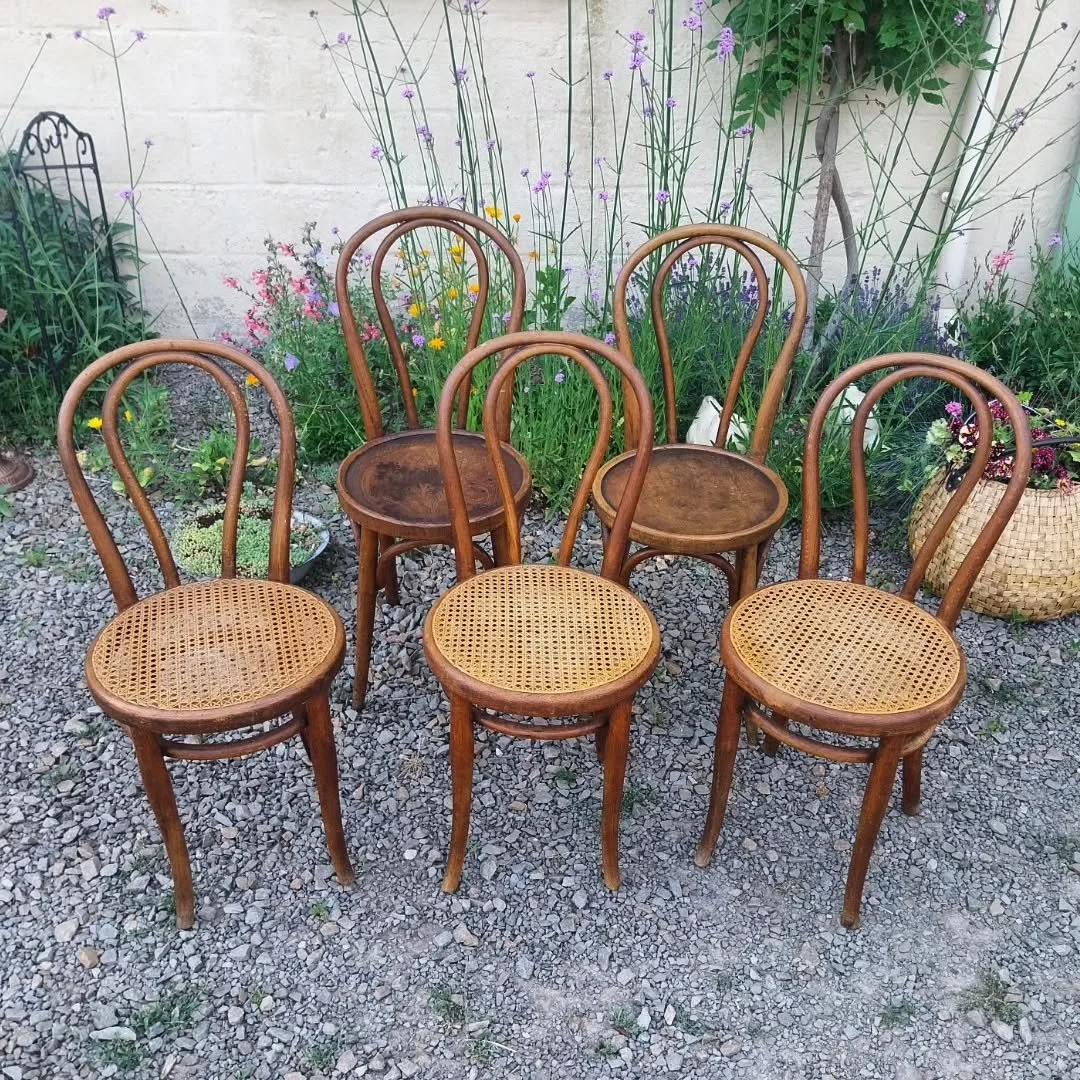 Superbe ensemble de 5 chaises bistrot anciennes &ndash; 3 authentiques Thonet
A retrouver sur :
www.aut-antik.fr 
Ou sur :
https://www.antikeo.com/catalogue/sieges/chaises/superbe-ensemble-de-5-chaises-bistrot-anciennes-3-authentiques-thonet-158069.
