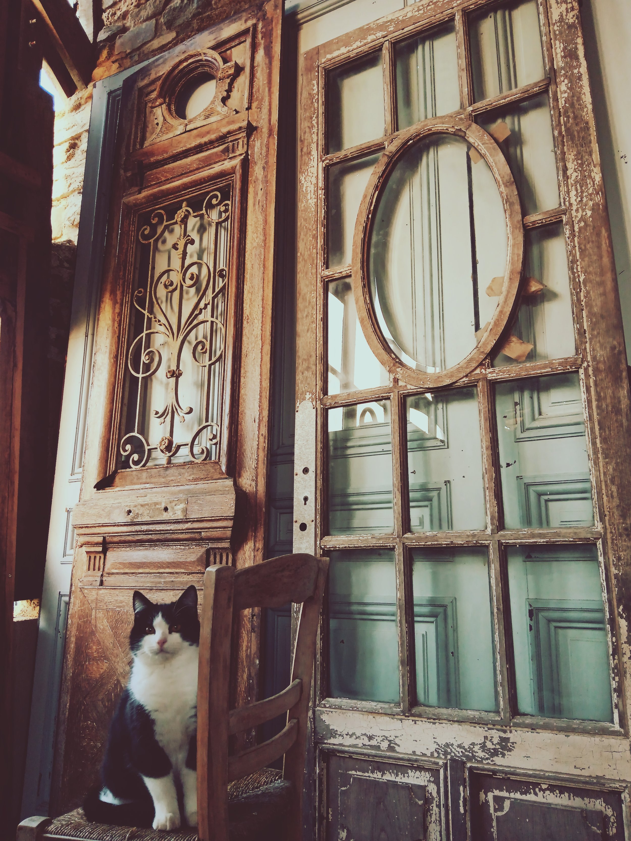 Un chatte noir et blanc assis sur une chaise en bois, devant une porte en bois ancienne avec des vitres.