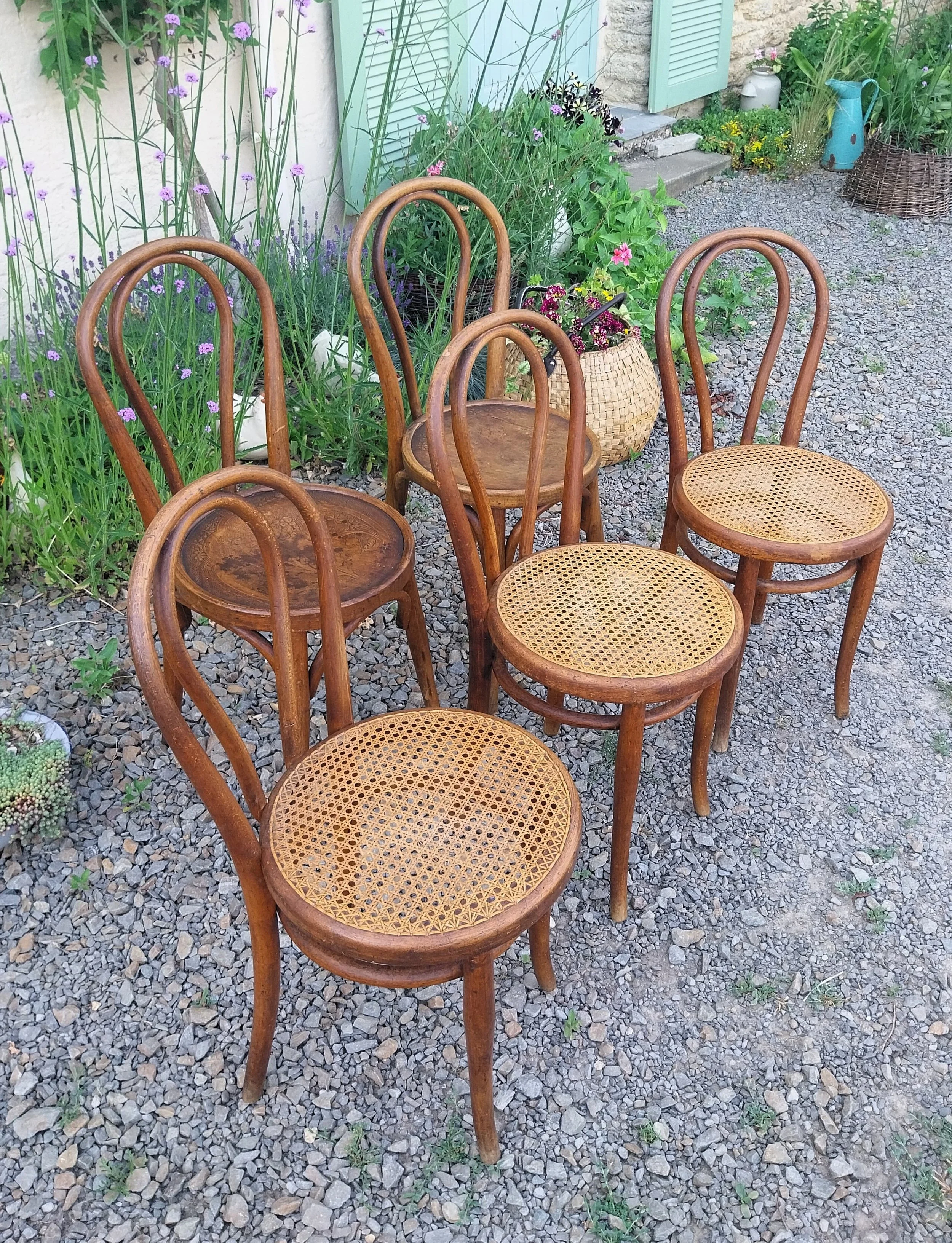 5 chaises cannées Thonet.jpg