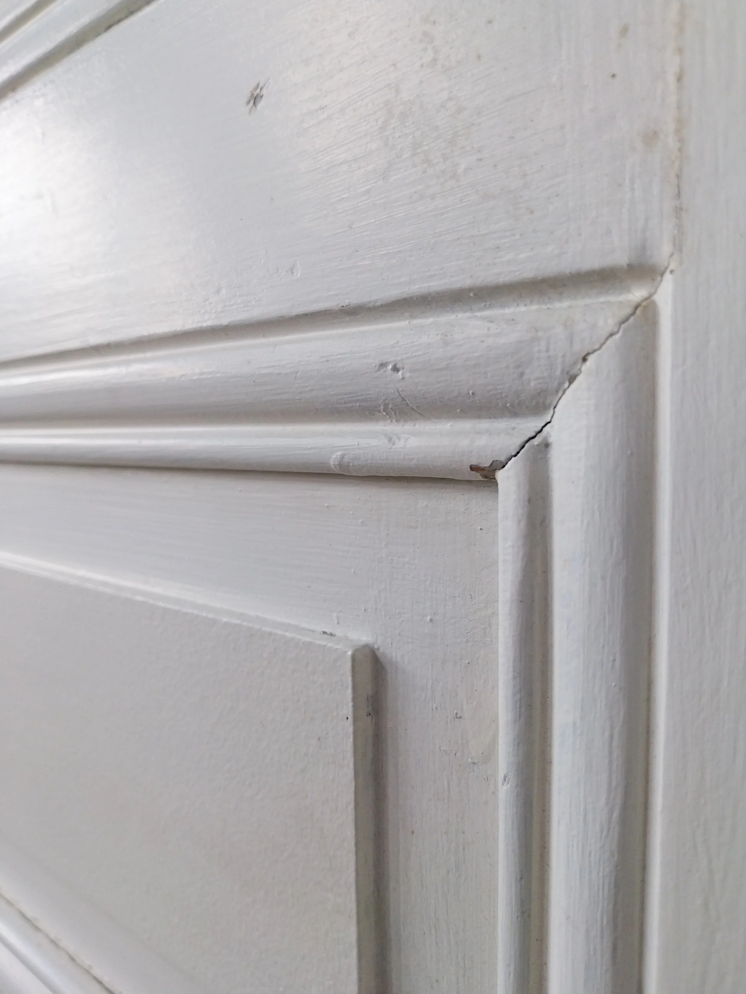 moulure style XIX ème.jpg