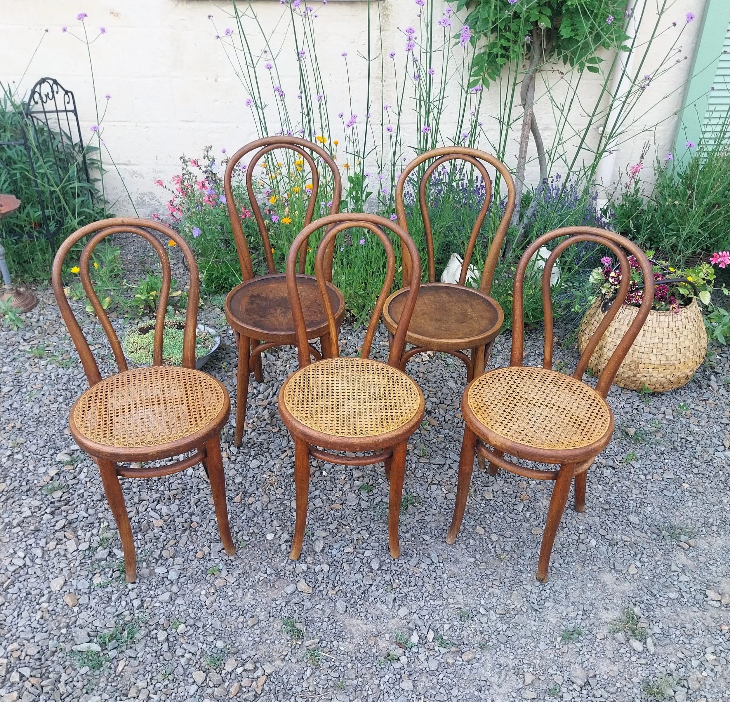 chaises Thonet.jpg