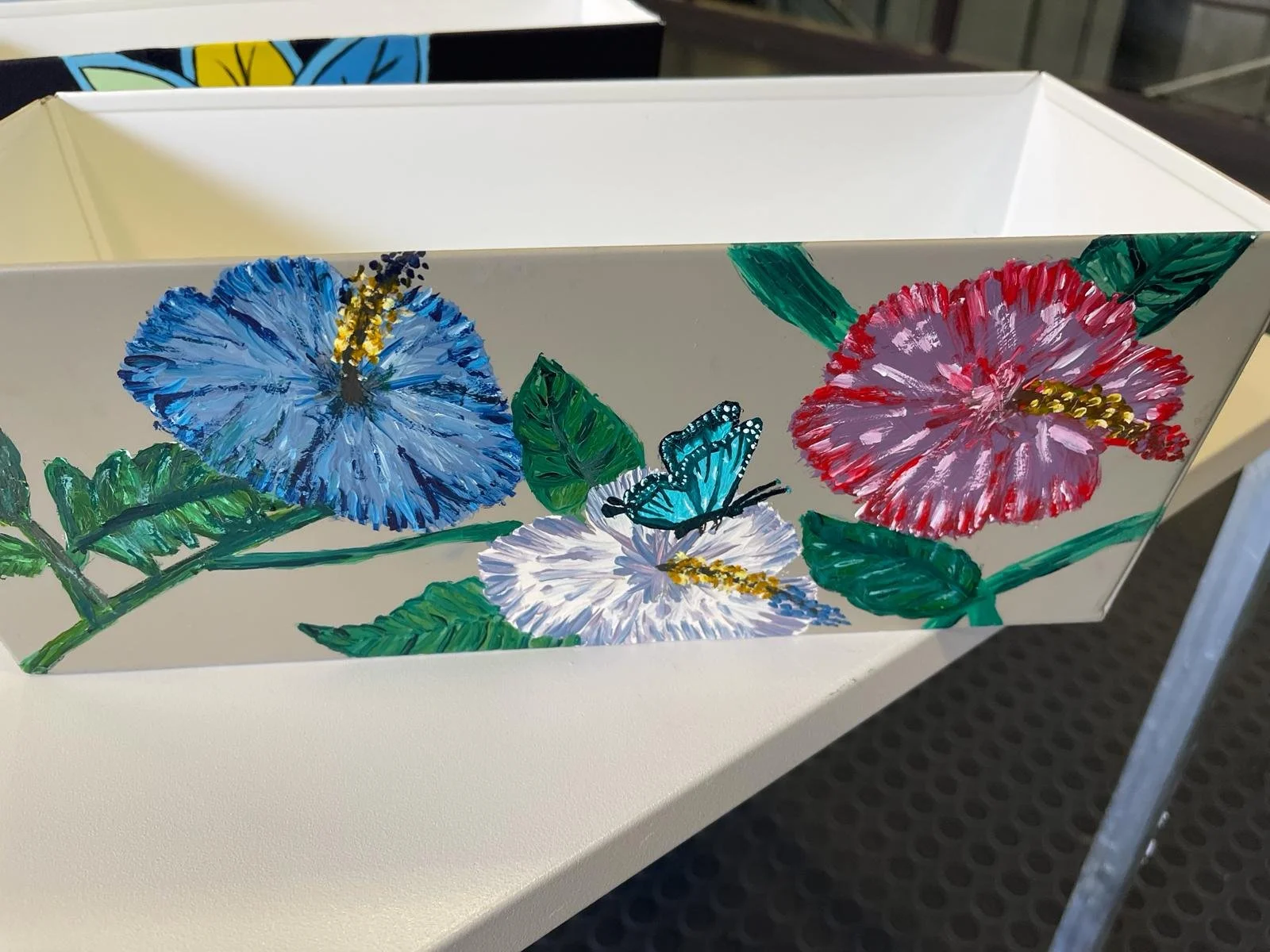 Hibiscus _ Schmetterling.jpg