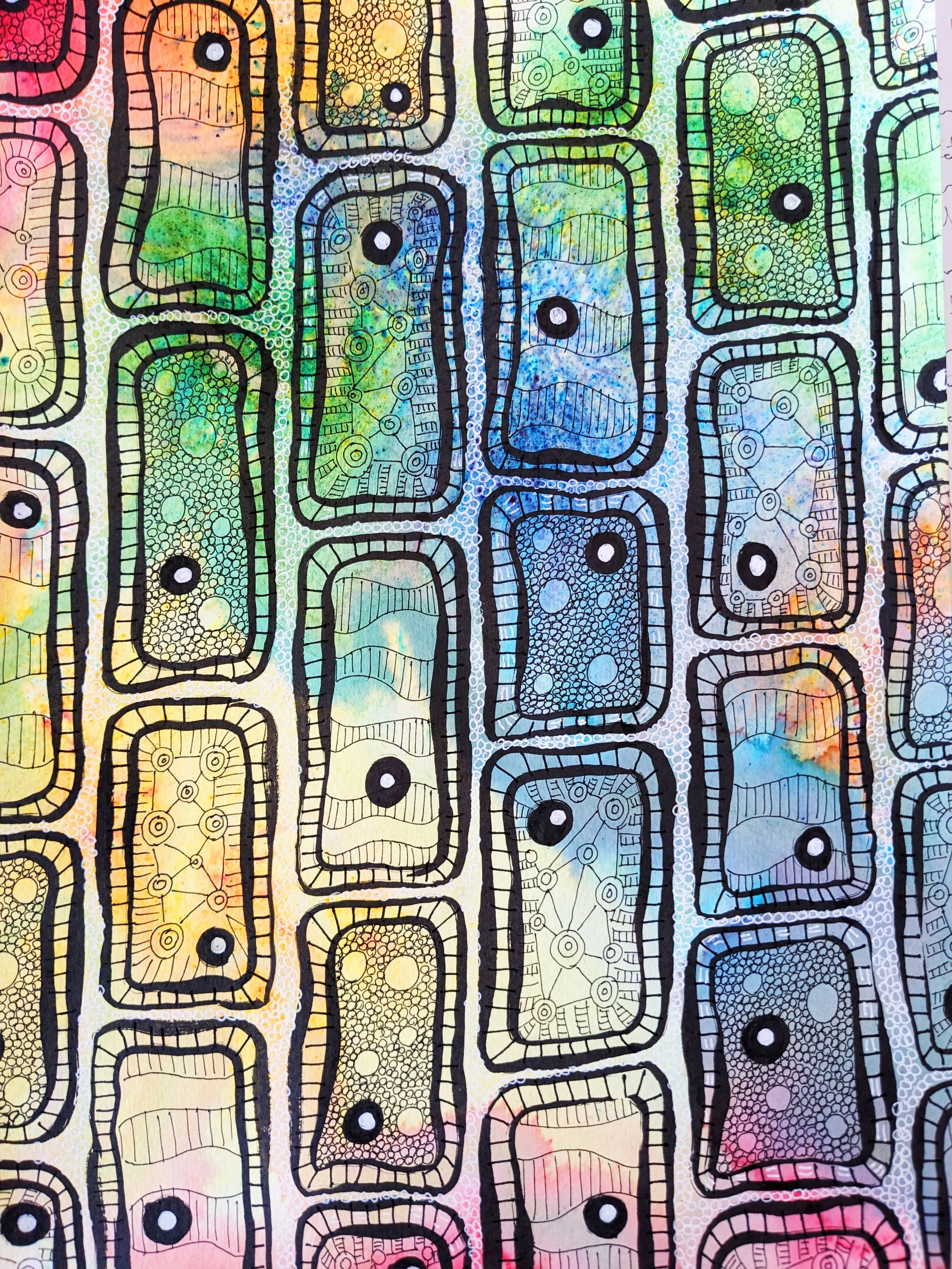 Looking at Natures Cells and Making Art