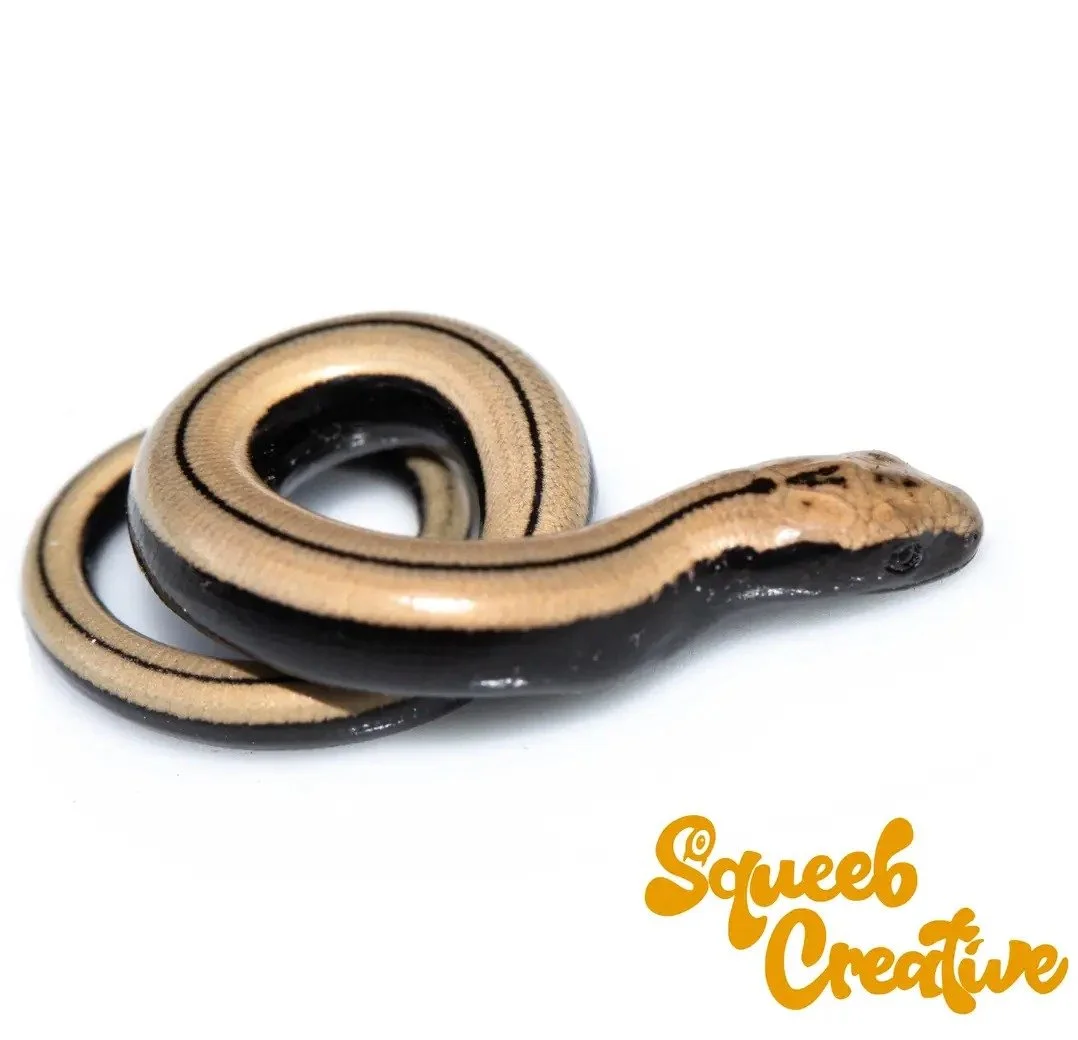 Slow worms in the garden!