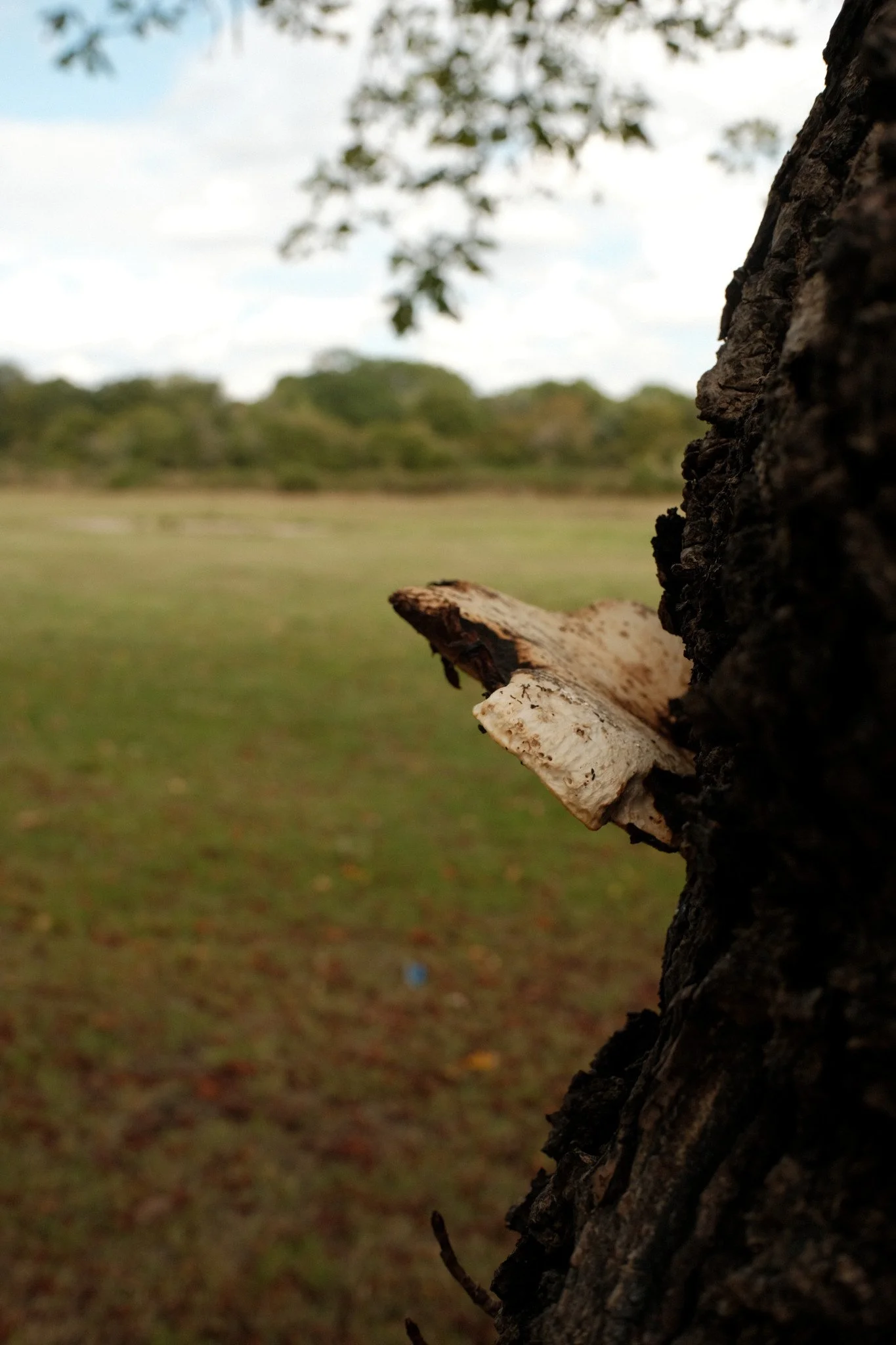 DSCF0256 F5.6 1/500  ISO200