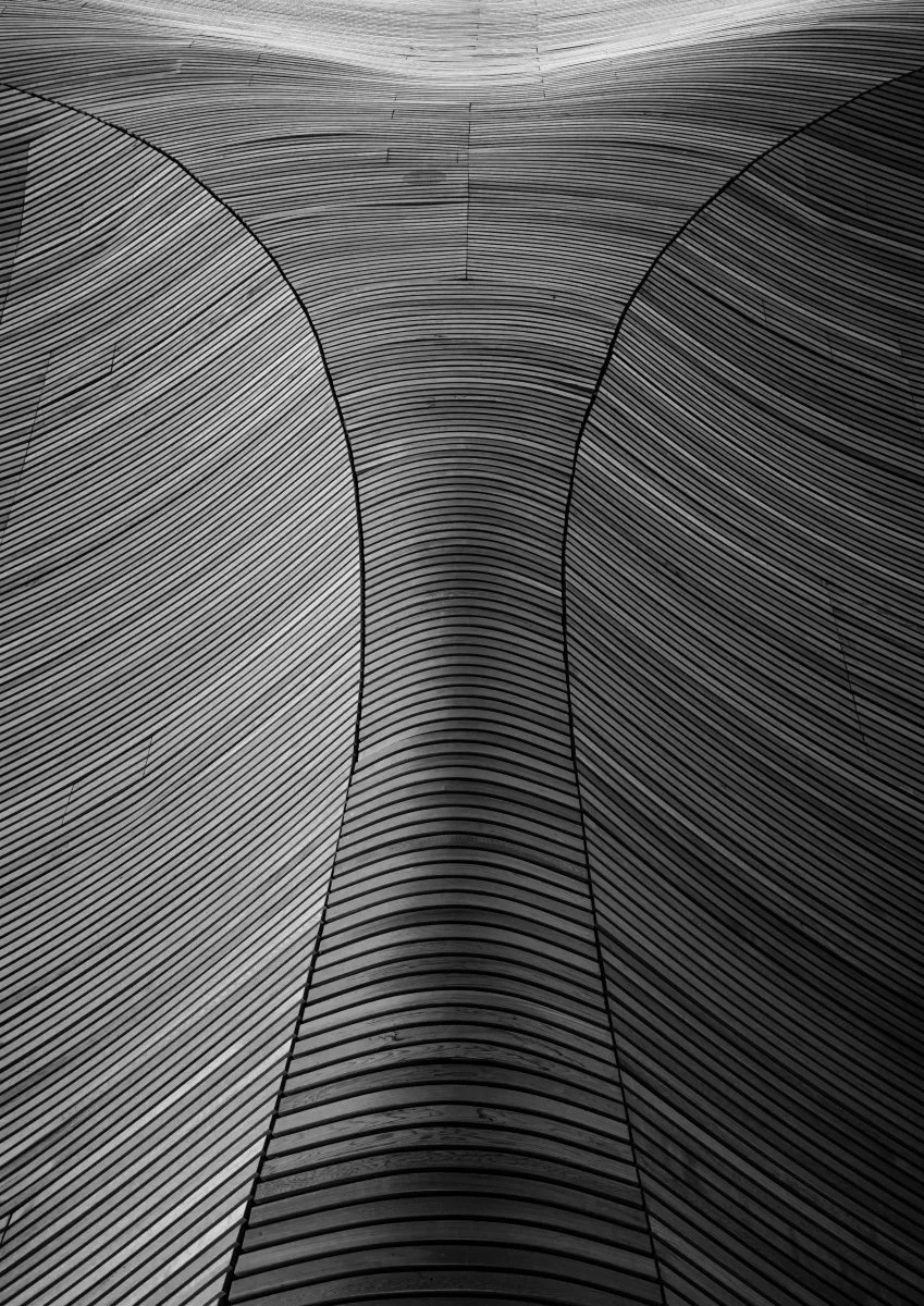 19_Wooden tide_Pete Barcham.jpg