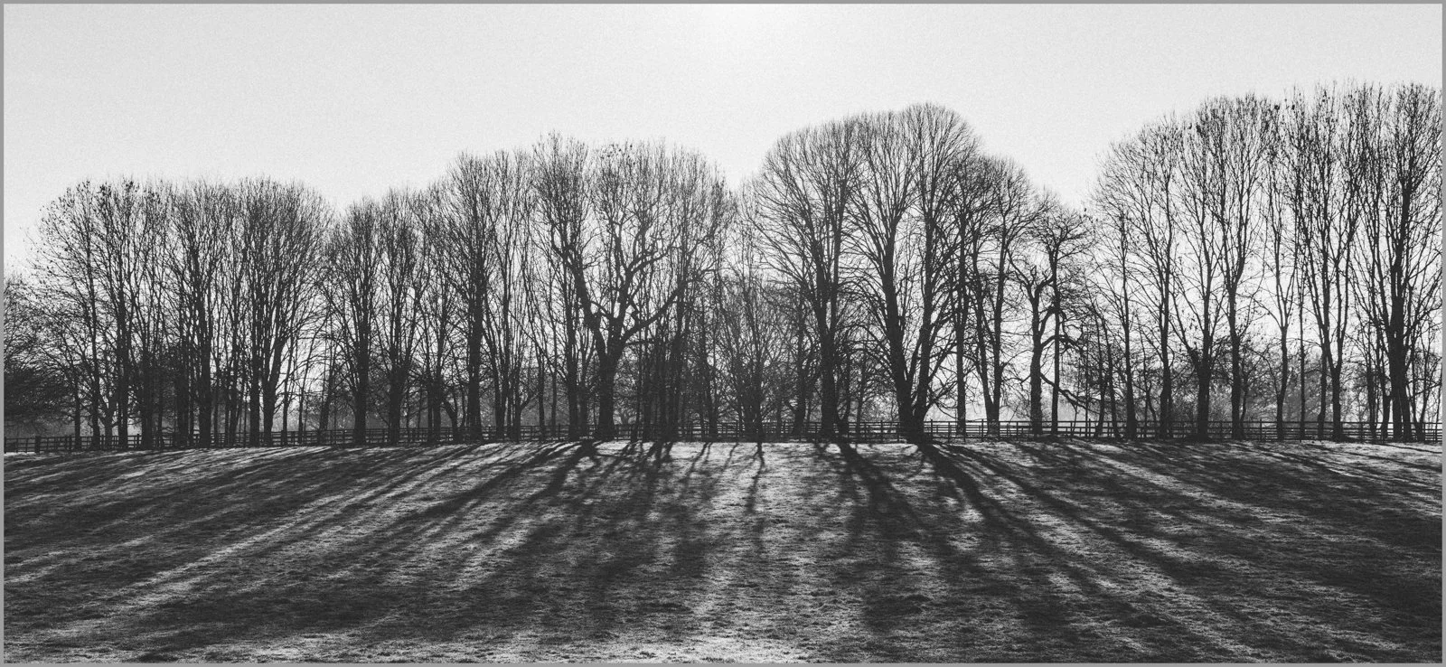 18_Morning Shadows_David Bonehill.jpg